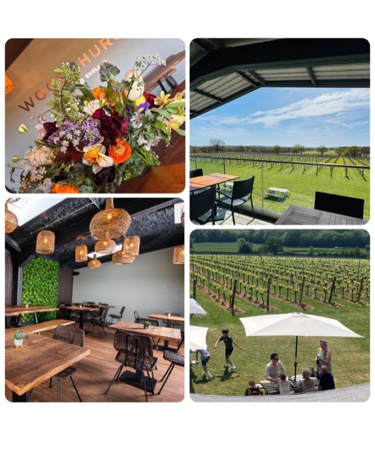 Rain or shine, @woodchurchwine has got you covered!☔☀
Woodchurch Wine Estate isn’t just a sunny day destination - our cosy tasting room is the perfect place to warm up with a glass of English sparkling on a grey day too. And the best bit? You can still soak up
those stunning vineyard views whatever the weather 🌿
Wrap your hands around a glass, watch the vines from the warmth inside and let the world slow down for a while.
Whatever the weather, we’re open and waiting 🥂 https://woodchurchwine.co.uk/pages/visit-us
#WoodchurchWineEstate #VisitKent #KentVineyard #AllWeatherVenue #EnglishWine