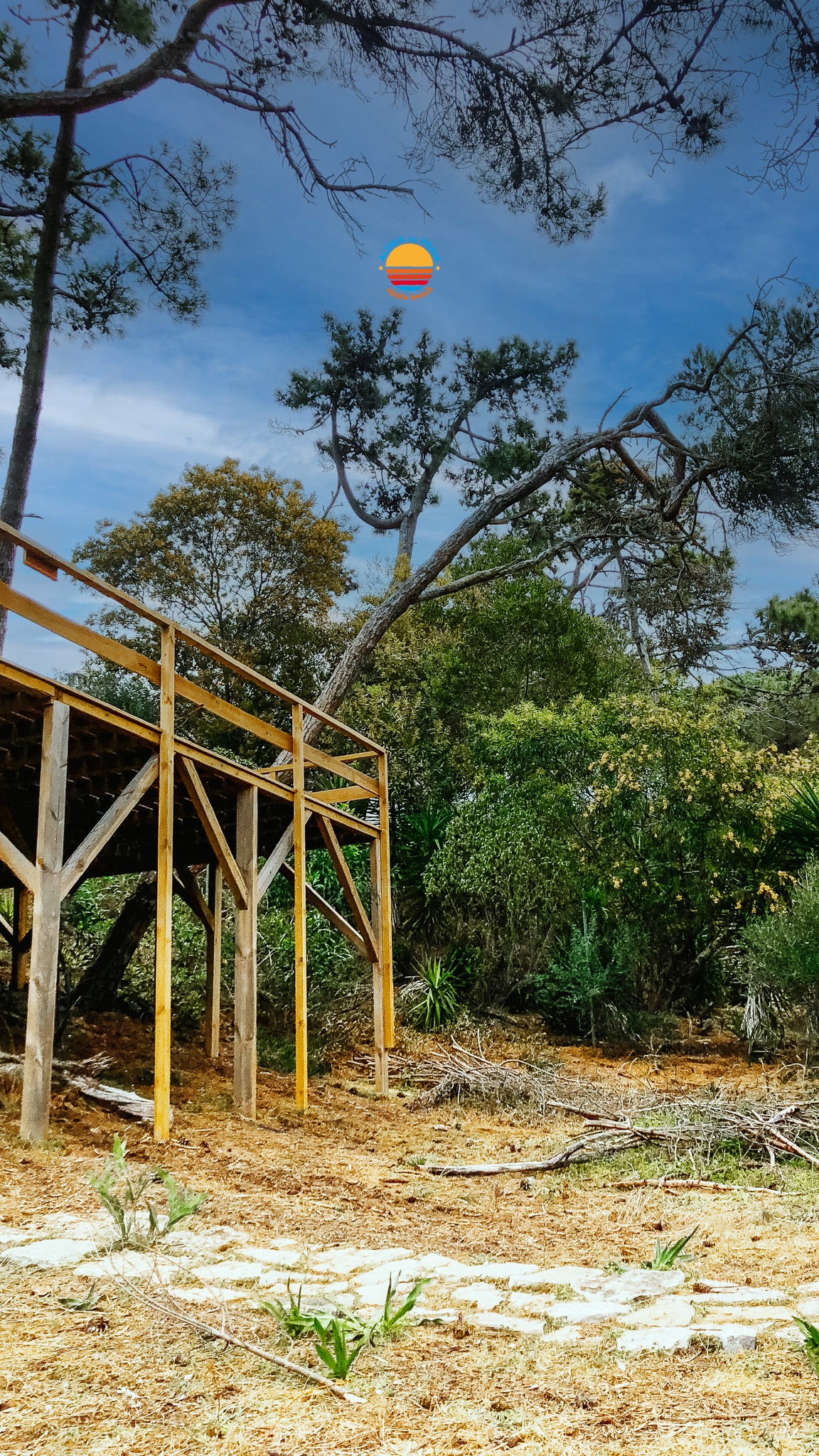 🇵🇹 Dia Mundial do Ambiente. Para nós, é um dia como qualquer outro, só que mais barulhento nas redes.
Pinheiros de Sintra, ar do Atlântico, trilhas que não foram construídas, foram encontradas 🌿
A natureza aqui não é cenário. É o motivo.
🇬🇧 World Environment Day. For us, it's a day like any other, just louder on social media.
Sintra pines, Atlantic air, trails that weren't built, they were found 🌿
Nature here isn't a backdrop. It's the reason.
#aldeiadapraia #diamundialambiente #sintra #ecoresort #naturezaportugal #sintraforest