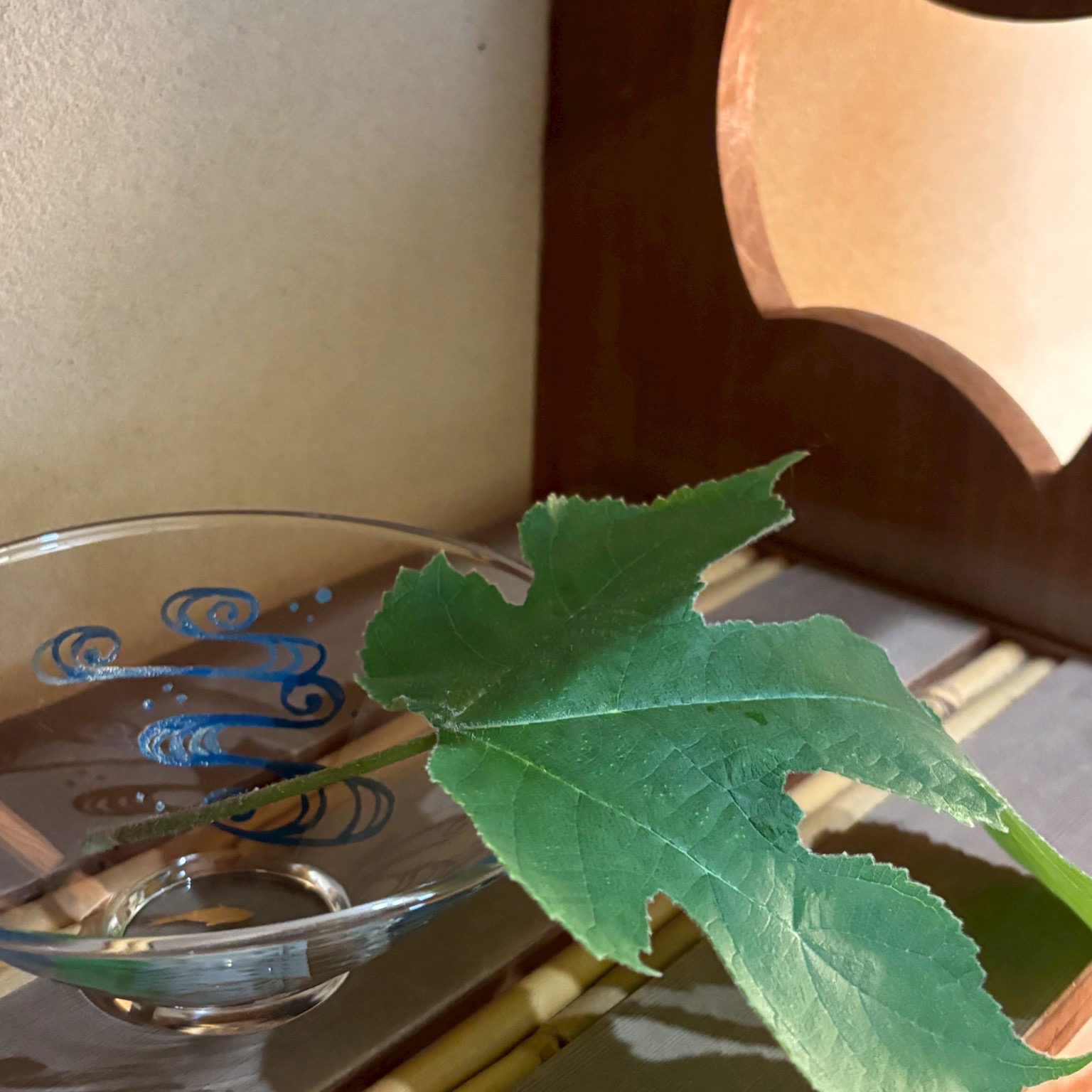 #講師補の茶道日誌 vol.1
“教える”ではなく、“伴走する”ということ
TEA HOUSE SETAGAYA にて、
講師補の稽古が始まりました。
長く学びを重ねてきた生徒さん達が、
今度は「支える側」として稽古へ。
とはいえ、
すぐに“教える人”になれるわけではありません。
どこまで言葉を添えるのか。
どこで待つのか。
どう見守るのか。
それは、お点前とはまた違う難しさがあります。
言葉を選ぶことの難しさや、
稽古場全体へ心を配ることの大切さを、
それぞれ実感した時間だったようです。
———
#講師補田島の茶道日誌
講師補として初めて稽古に。
伝える側の立場になってみて初めて、
先生がいつもどれほど細やかに心を配ってくださっているのかを実感。
そして何より、
皆様が稽古に来てくださることのありがたさ、これから土曜クラスならではの学びや空気を、育てていきたいと改めて感じた一日でした。
———
#講師補古川の茶道日誌
初の講師補。
「迷われている所のみ、口で伴走する」が、
思っていた以上に難しく、
自分の語彙力の無さを痛感。
少し迷われている時に、
すぐ口を出さず待つことも大切なのかもしれない。
ご自身で正解へ辿り着くためのお手伝いができたら。
そんなことを考えながら、
稽古の時間を過ごしていました。
———
TEA HOUSE SETAGAYA の講師補制度も、
まだ始まったばかりです。
たくさん迷い、
試行錯誤を重ねながら、
この場所ならではの「学びの形」を育てていけたらと思っています。
#TEAHOUSESETAGAYA
#茶道
#茶道教室
#学びの記録
#日本文化