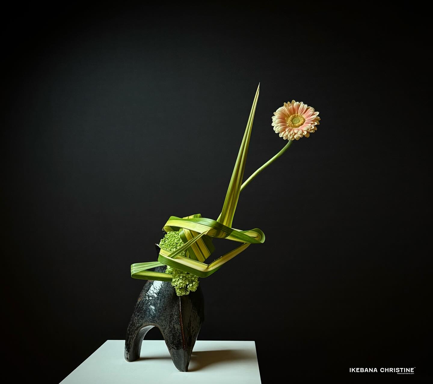 Happy ikebana day!
Sign up for my Fall beginner’s series in Manhattan.
2026 Fall beginner ‘s series :
*Tuesdays@4pm: Sep22, Oct 6, 20 and Nov 3 2026
*Wednesdays@5:30pm: Sep23, Oct 7, 21 and Nov 4 2026
http://www.ikebanachristine.com/
•
•
•
#ikebanachristine
#ikebanastudio
#manhattanikebanaclass
#ikebanaclass
#ikebanalesson #ikebananewyork
#sogetsu草月流いけばな #ikebanasogetsu
#sogetsu
#ikebana
#ikebanaflowers
#sogetsu
#sogetsustudio
#ikebanastudio
#ikebanastagram #sogetsuschool #sogetsuikebana