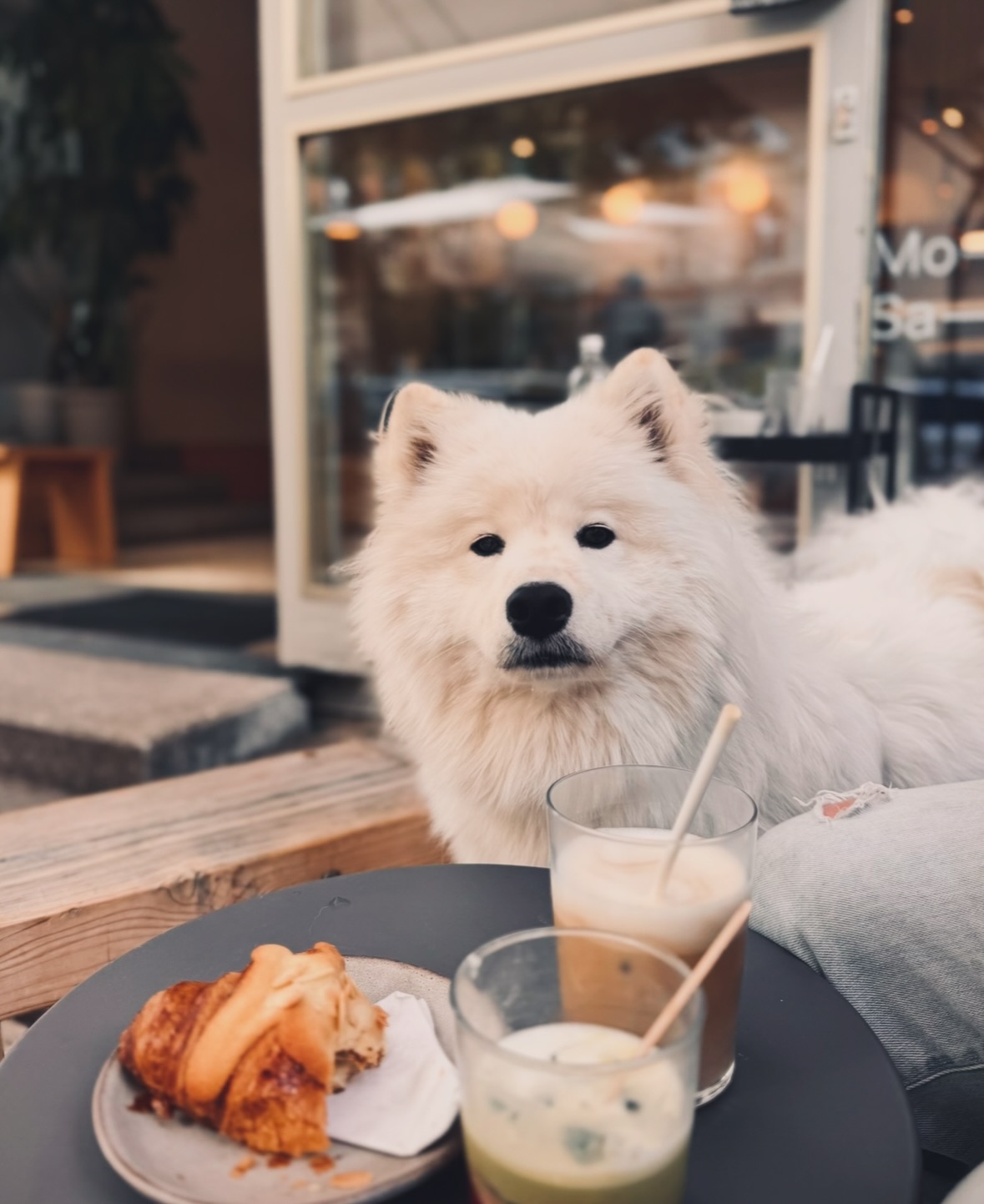 A little road trip, basically through French and German coffee shops. 👀