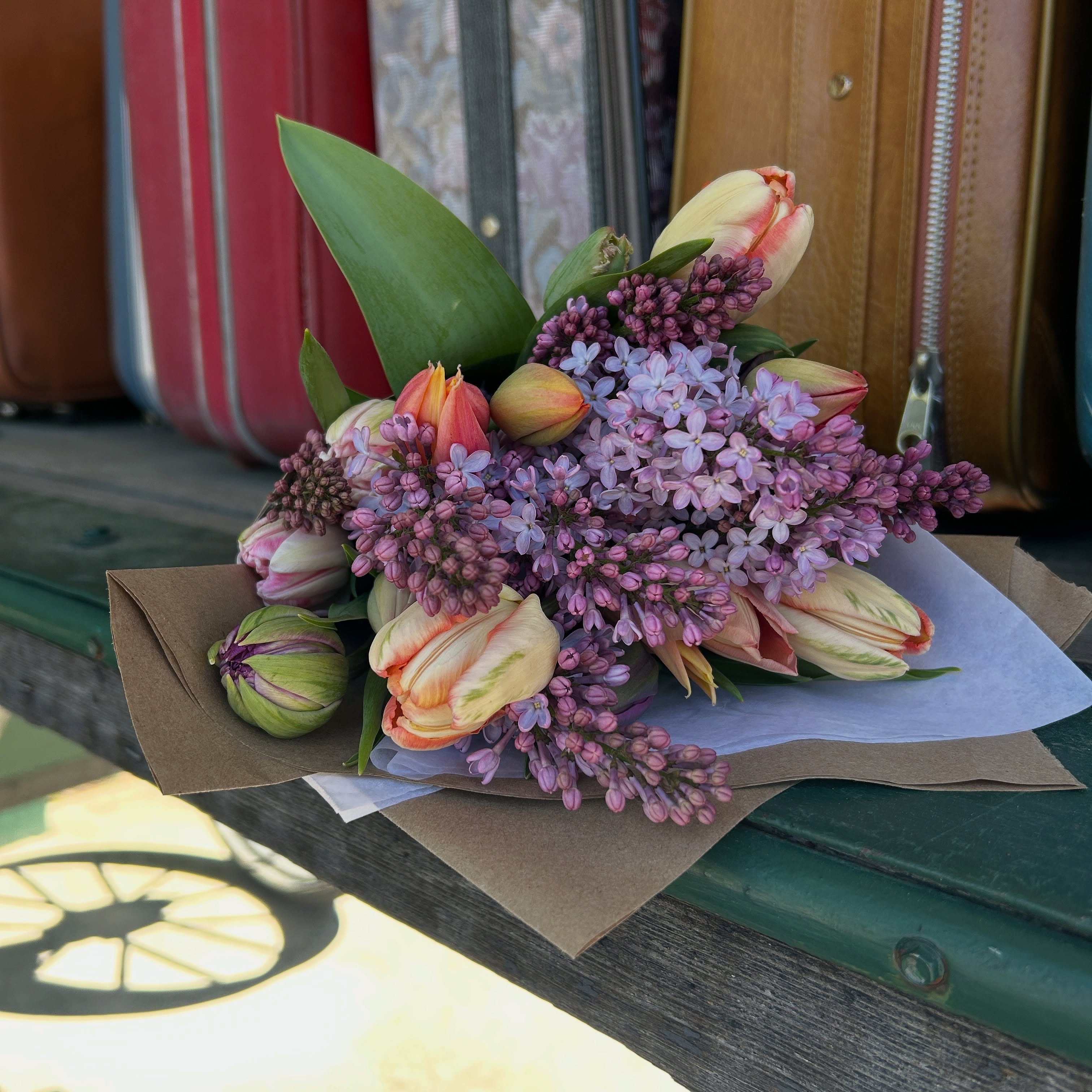 Saviez-vous que… La plupart des fleurs locales sont coupées le jour même ?
Fleurs fraîches, toujours. 🤍 #fermeflorale#laurentides#fleursdesaison