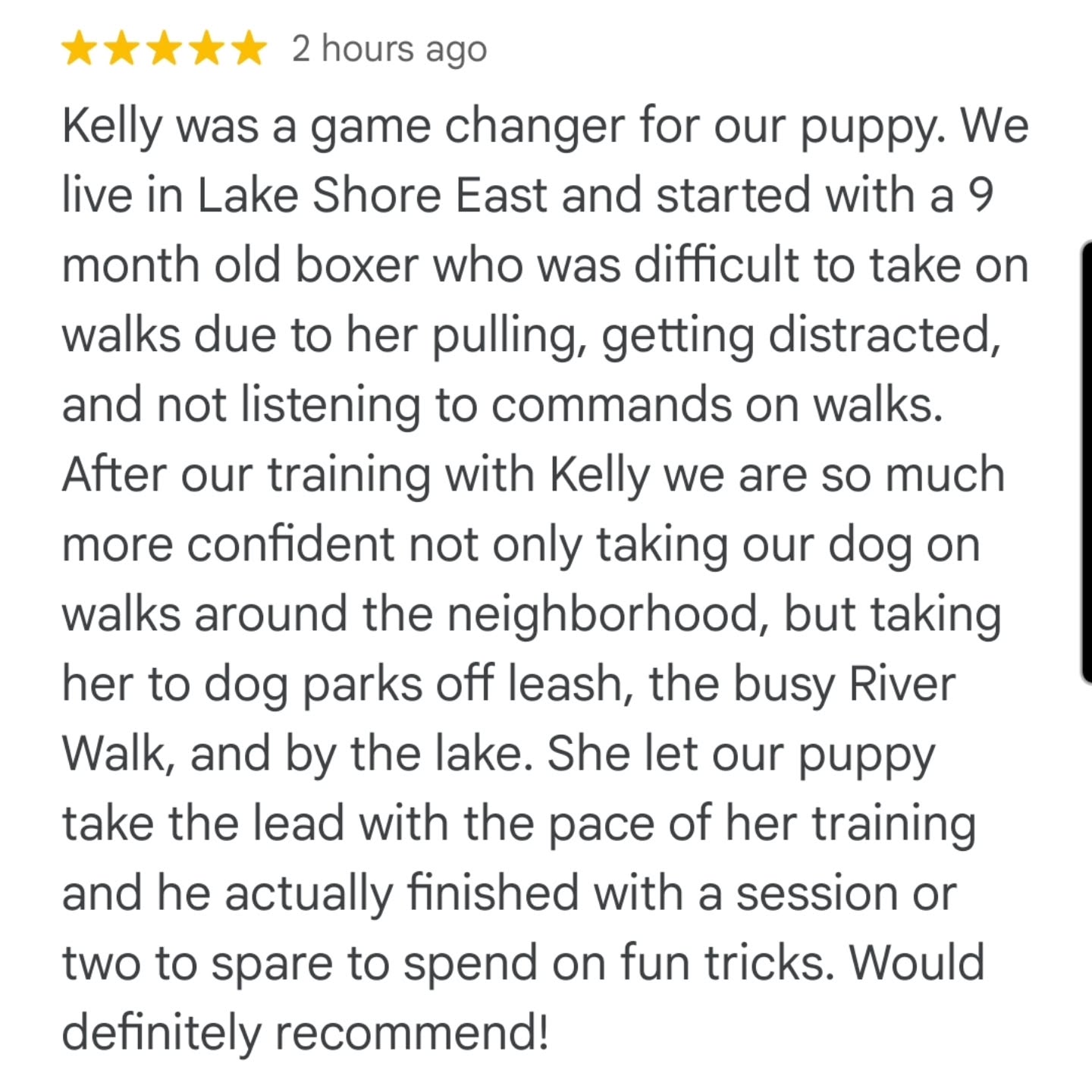 So excited that Gertie can hang out at the dog park now and her parents are able to enjoy the beautiful river walk with her 💕
This team is something special let me tell you!