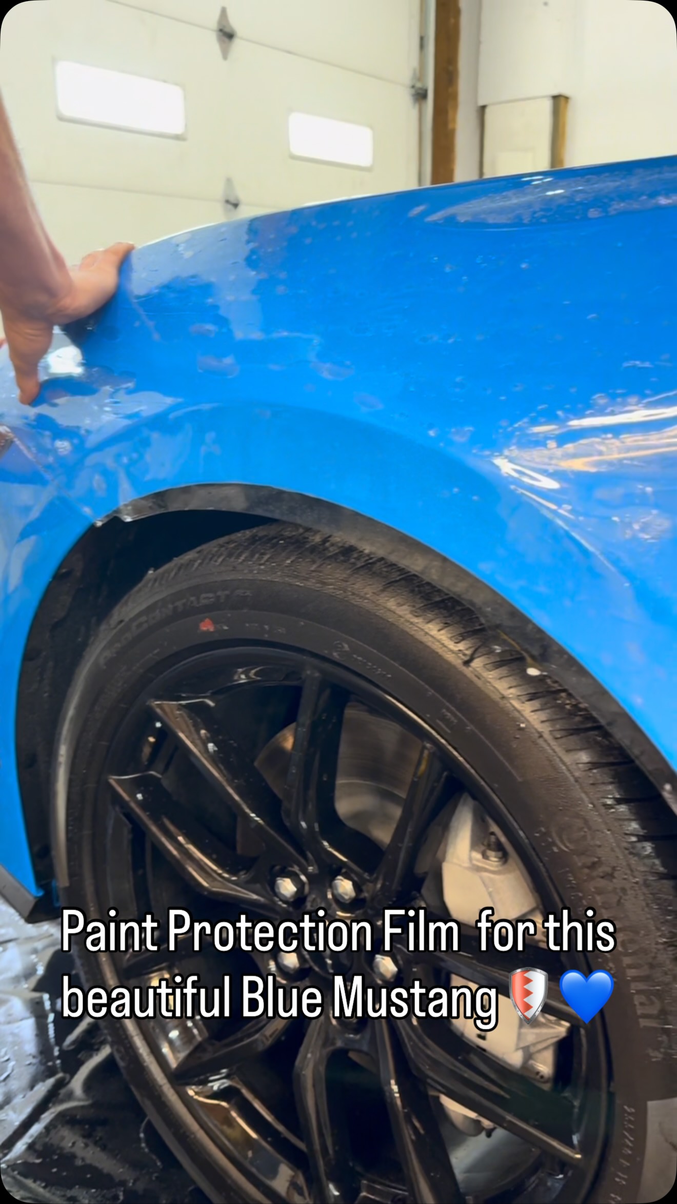 That blue deserves protection. 🔥 Paint Protection Film helps protect against rock chips, road debris, bug acids, and everyday wear so this Mustang can keep turning heads for years to come. #PaintProtectionFilm #PPF #MustangGT #CarProtection #Shade9Tint