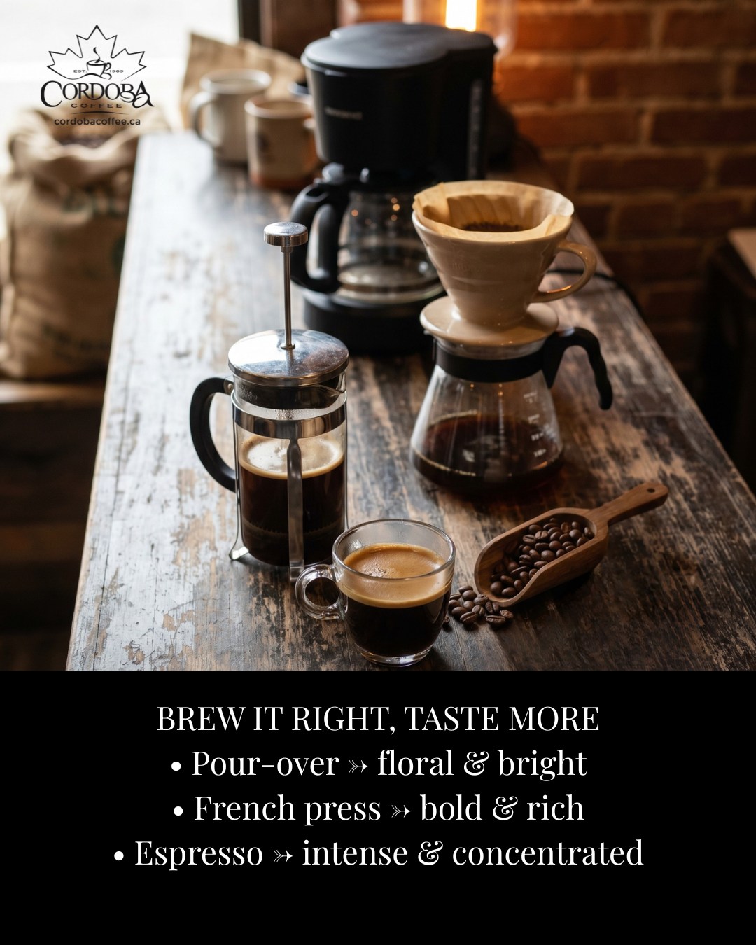 The same bean can taste completely different depending on how you brew it.
Pour-over brings out floral notes and clarity. French press gives you body and richness. Drip is consistent and straightforward. Espresso concentrates everything, the good and the bold.
If you're buying beans from us, it's worth knowing which method matches what you actually want in the cup.
We keep a short guide at the counter, ask for it next time you're at Cordoba Cafe on Campbells Cross Farm.
#localcoffeeroaster #canadian #canadianproducts #roastedincanada #caledon #explorecaledon #lovelocalcaledon #curiositytoronto #ontario #sunflowerfarm #discoverontario #exploreontario #agritourism #inglewood #discoverontario #VisitYDH #OntarioTravel #AgritourismOntario #FarmFreshFun #visitcaledon #cordobacoffee #bloggersofcanada #espresso #espressolover #coffeelover #coffeeislife #coffeegram #coffeelovers #supportlocal #coffeevibes