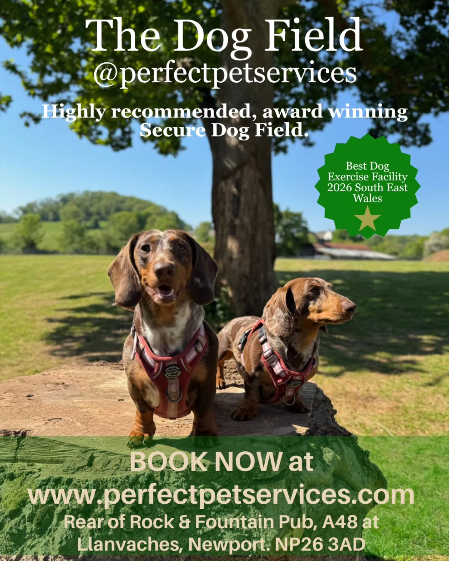 The Dog Field π³ @perfectpetservices. Book our award winning secure dog field . Highly recommended. 5 acre field with woodland. Fresh water and complimentary poo bags. Www.perfectpetservices.com