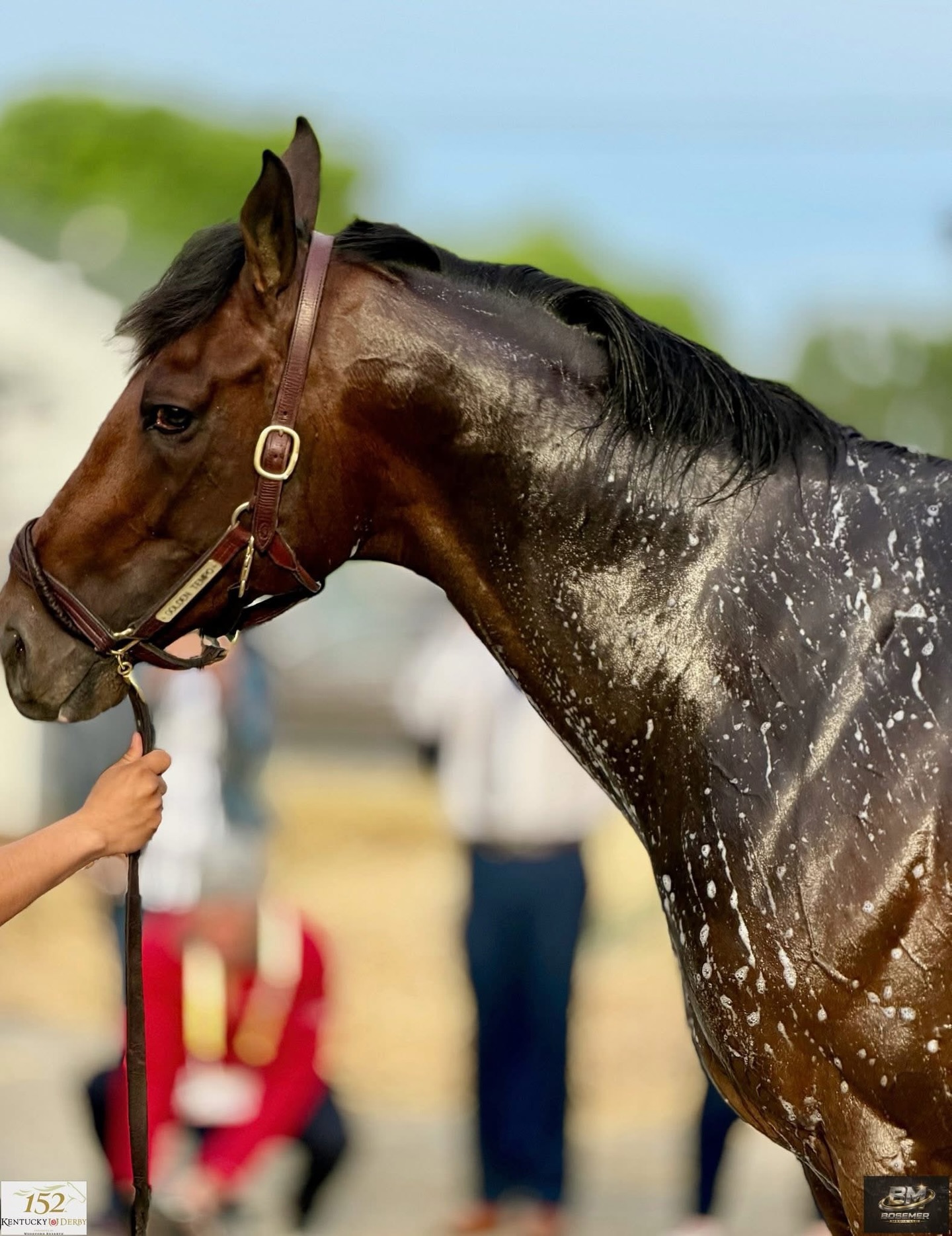 As if winning the 2026 @kentuckyderby wasn’t enough, Golden Tempo has won the 2026 @belmontstakes 🏆 🏆
Trainer @reredevaux & jockey @joseortizjockey seem to make a great pair!
#horse #horseracing #champion
🎵: @gudgroove