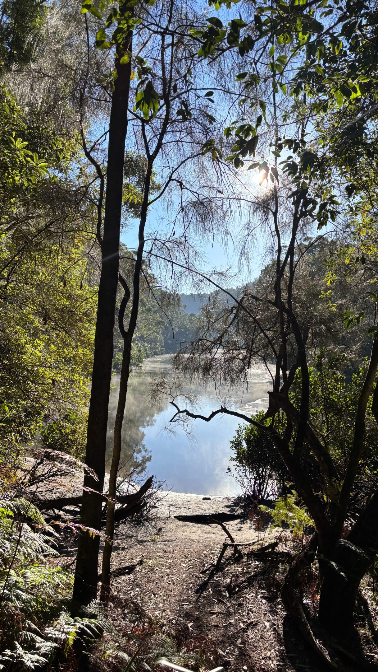 A sparkling start to the long weekend down to Bobbin Head and back up to the Sphinx via the looooooooong fire trail.
.
.
.
#sphinxtobobbinhead #womenwhohike #morningsunshine #10kmhike #feelnsw
