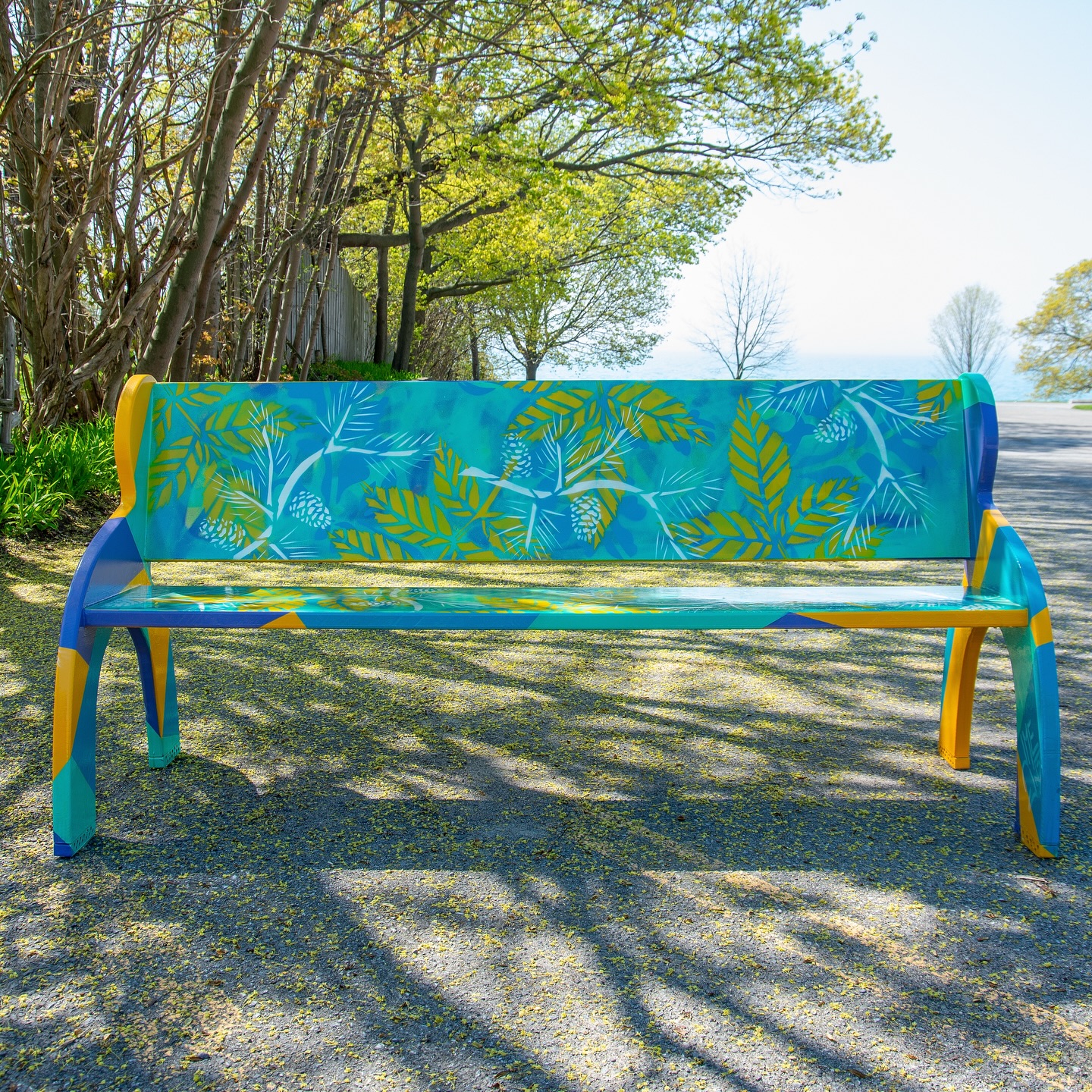 The seed was a promise, the sapling a cry,
But the old tree watches the world go by;
Deep-rooted in silence, patient and vast,
Holding the future by honouring the past.
‘Seed to tree’ a memorial bench project with @wellingtoncommunityassoc