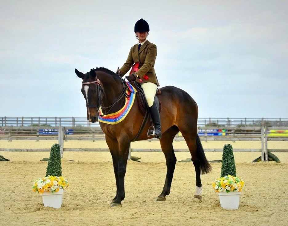 Lovely to see Kauto the King enjoying his retirement from racing and looking fabulous showing with Sara Scudamore. Winning the ROR Ridden, ROR in hand and the Ridden Championship 👏🏻