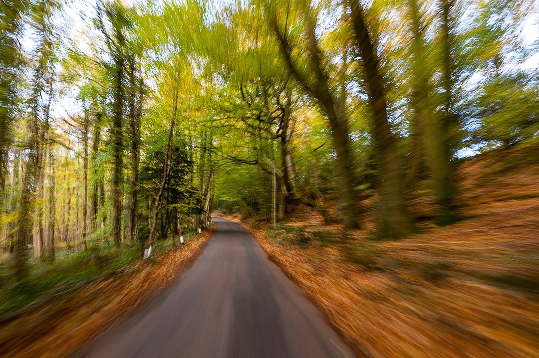 If you've been wanting a proper change of scene, but the idea of a long journey is putting you off, we are likely a lot closer than you might realise…
🚗 Bristol, around an hour.
🚗 Bath, around an hour and ten mins.
🚗 Cardiff, around an hour.
🚗 Cheltenham, around forty minutes.
🚗 Worcester, around fifty minutes.
🚗 Birmingham, around an hour and a half.
From the M4 and M5 corridors, the Forest of Dean is on your doorstep. From the wider Midlands, it's an easy morning's drive.
#VisitDeanWye #UKDaysOut