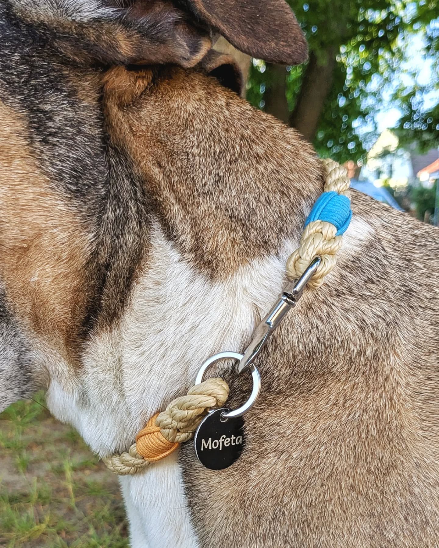 𝗔𝗸𝘁𝘂𝗲𝗹𝗹 𝗶𝗺 𝗗𝗮𝘂𝗲𝗿𝘁𝗲𝘀𝘁 – unser neues Marken-Halsband!
Die minimalistische Lösung für Hundemarken, Adressanhänger oder GPS-Tags 🐕🦺
Leicht, dezent und dennoch robust genug für den täglichen Einsatz. Der Karabiner wird direkt in einen extrastarken Schlüsselring eingehängt – einfach, sicher und ohne unnötige Bauteile!
Jedes Marken-Halsband wird individuell auf den Halsumfang deines Hundes angepasst👌🏻
#markenhalsband #hundehalsband #tauhalsband #hundemarke #allesaustau