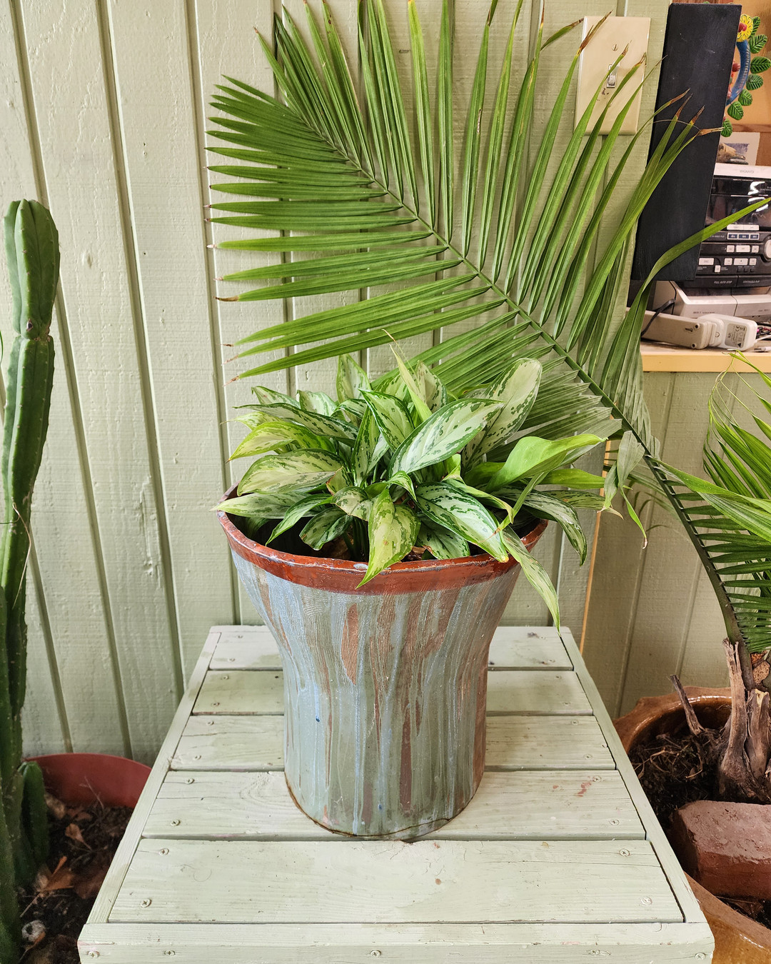 Create your own planter at the Planter Workshop with Ben Rivers on Wednesday afternoon hands-on instruction, all materials provided, and friendly community vibes. Reserve your spot now: https://www.wildwoodgreenarts.org/booking-calendar/planter-workshop
Date & time: June 17, 2026 · 4pm-6pm
Location: 2908 Ossenfort Road, Wildwood, MO
#PlanterWorkshop #DIYClass #WildwoodGreenArts #CraftNight #PlantCommunity #ceramicsclass #potteryclass
https://wix.to/Kicbtnw