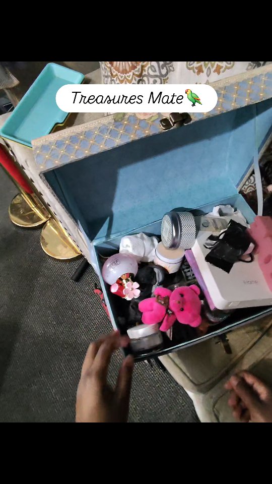 The little boxes still don't disappoint!
#resellerlife #thriftstorefinds #foryoupage #storagewars #storageauction