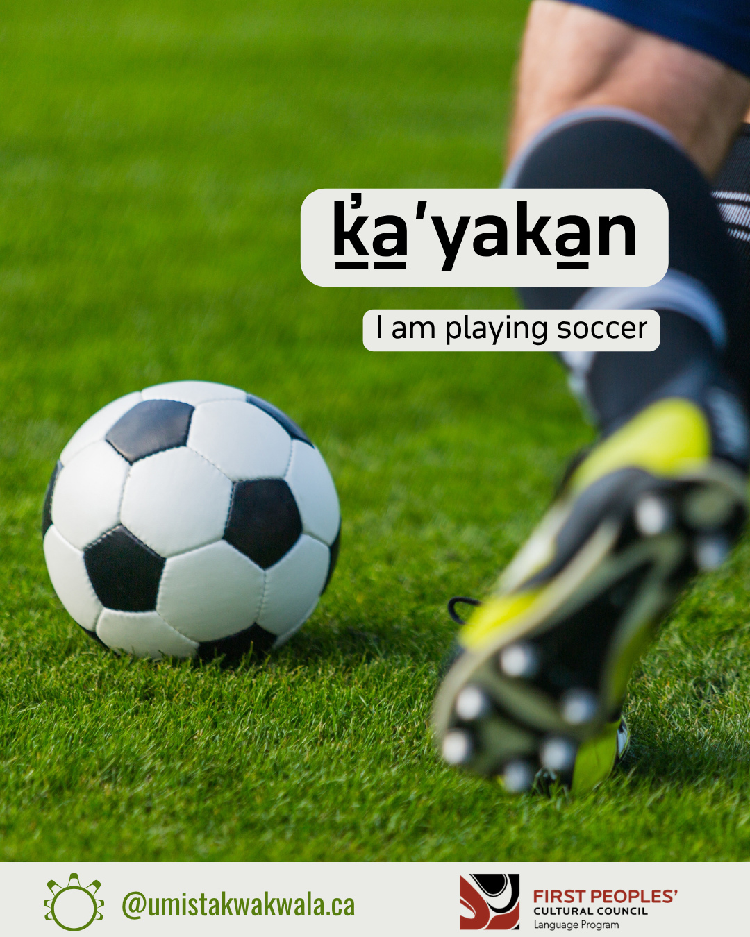 ⚽️🏃🏽♂️ ḵ̓a̱'yaka̱n 🏃🏽♀️⚽️
- I am playing soccer
Over the next couple of weeks we will be sharing some Kwak̓wala soccer words, in honour of the upcoming tournament here in Ya̱lis. We hope you enjoy.
For pronunciation, check out firstvoices.com/kwakwala
G̱ilakas’la to @firstpeoplesculturalcouncil for supporting our #kwdaily project
#kwakwala #kwakwakawakw #indigenouslanguagerevitalization #umistaculturalcentre #soccer #umistakwakwala