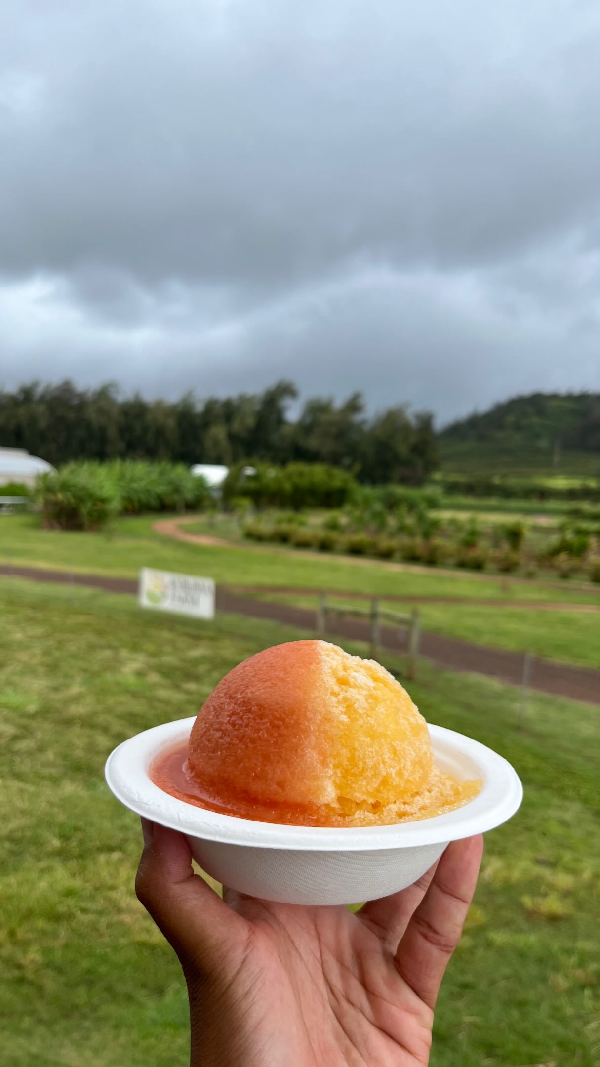 HAUPIA CREAM + YOU. Come visit us from 11AM-6PM! We’re open daily 🤙🏾
#fyp #organic #shaveice #oahu #homemade