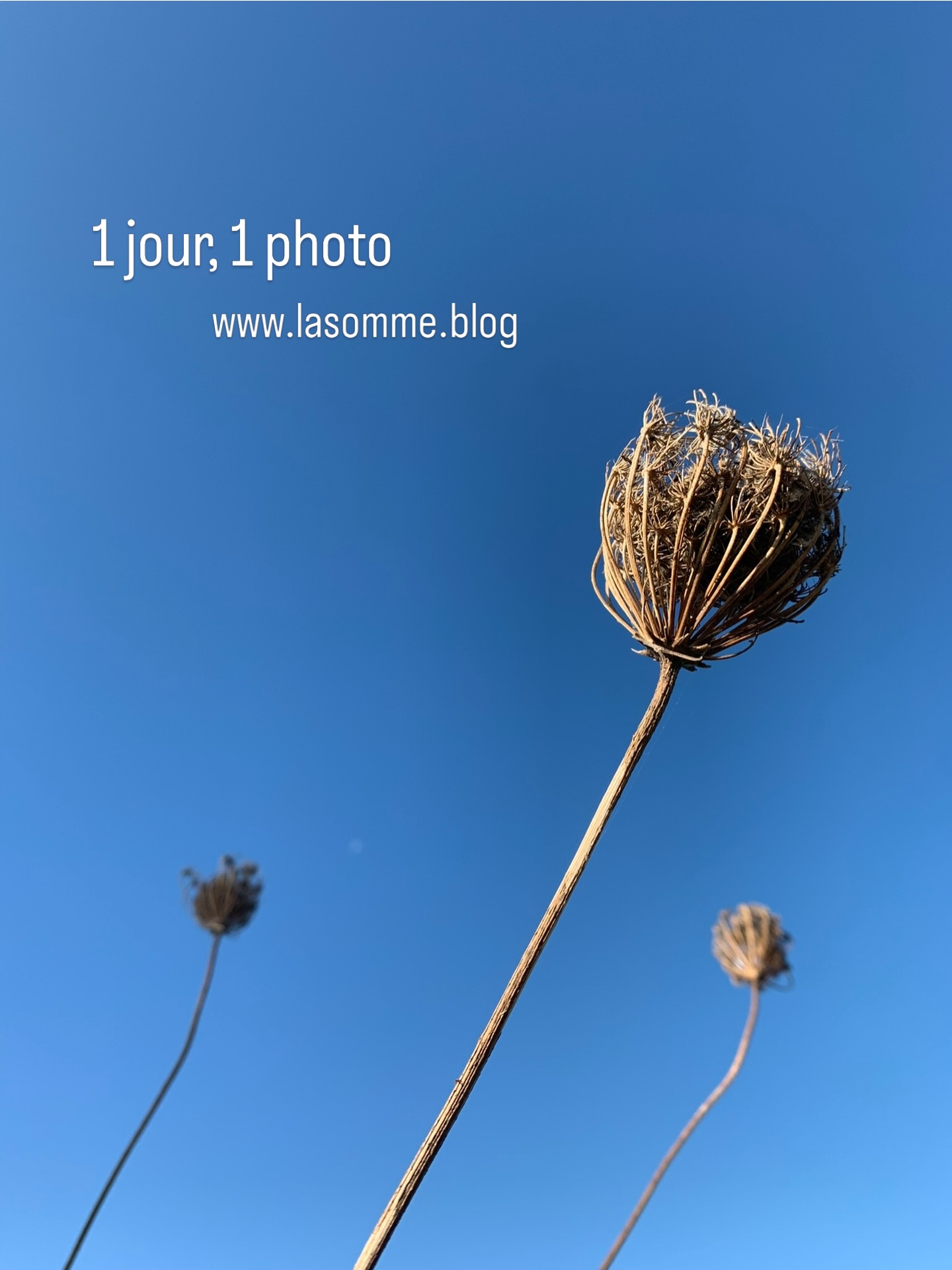 « Dans le Nord, il fait moche », me disait-on, petite, d’un air navré. Moi, je ne répondais rien, je savais. La Somme mon Amour sur www.lasomme.blog vous présente des trésors samariens 🦋