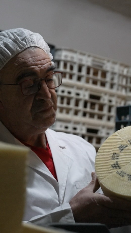 Hay una parte de nuestro trabajo que casi nadie ve.
Mientras los quesos maduran lentamente en nuestras cámaras, nosotros analizamos cada pieza para seguir de cerca su evolución.
Uno por uno.
Observamos su aspecto, controlamos su maduración y comprobamos que todo evoluciona como debe.
Es un proceso que repetimos constantemente durante meses.
Un trabajo silencioso que requiere experiencia, paciencia y atención a cada detalle.
Porque un gran queso no depende solo del tiempo.
También depende de las manos y los ojos que lo acompañan durante todo el proceso.
Porque la excelencia está en los pequeños detalles. ✨