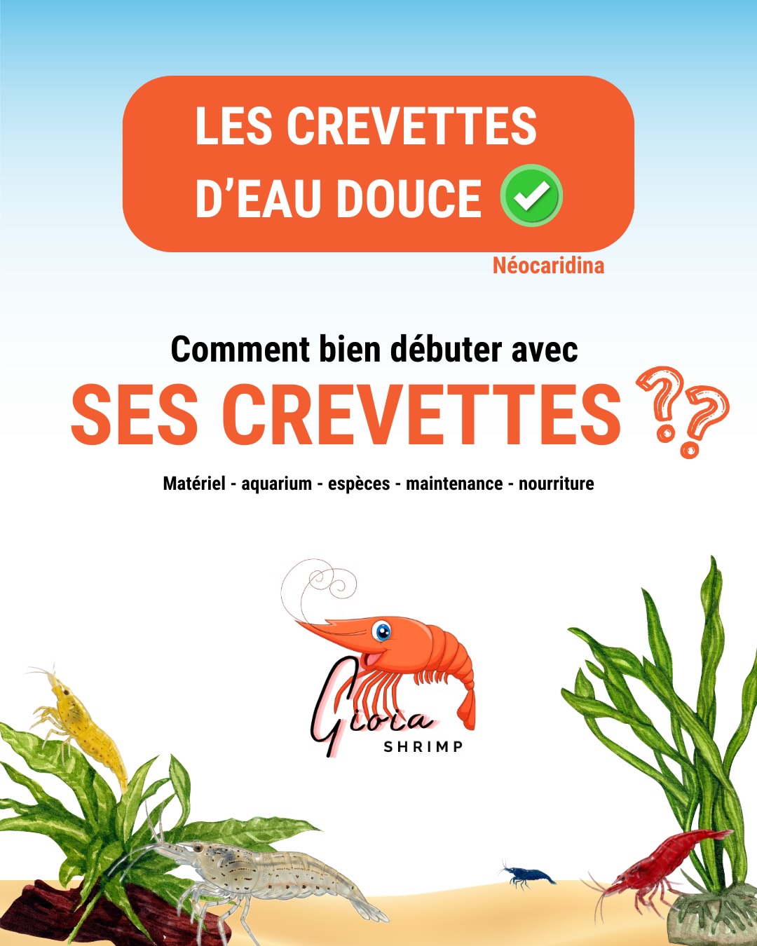 🦐 Marre des conseils contradictoires pour lancer ton premier bac à crevettes ? On a résumé tout ce qu’il faut savoir sur les Néocaridina dans ce carrousel. Pas de blabla, juste du concret !
En faisant défiler le carrousel, tu vas voir :
- Le matos simple pour démarrer (un petit 30L suffit largement)
- Les paramètres de l’eau à viser (et oui, l’eau du robinet ça marche !)
- Les 3 variétés les plus robustes pour se faire la main
- Ma routine d’entretien et nourriture avec GioiaShrimp, avec des recettes préparé artisanalement pour booster leurs couleurs sans polluer le bac
📌 Pense à enregistrer le post pour l’avoir sous les yeux quand tu feras ton aquarium pour crevettes !
Notre gamme artisanale est dispo chez Truffaut, Botanic, Animalis ou directement chez nos revendeurs🌿
Des questions sur ton projet ? N’hésite pas à les poser en commentaire, on y répondra rapidement 🫡
