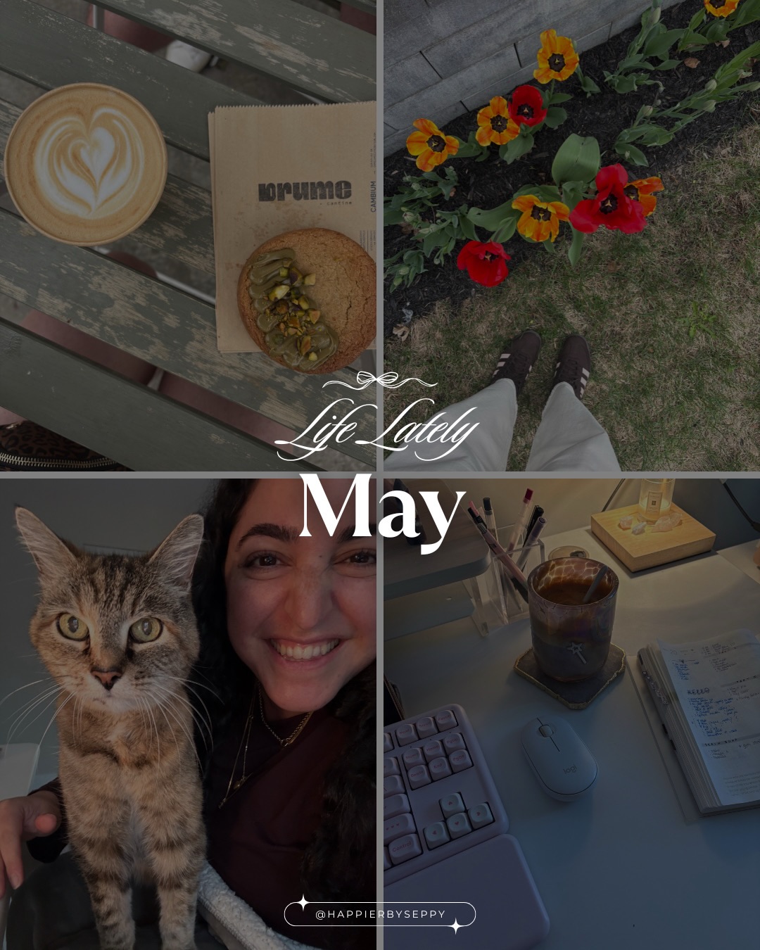 Little bits & lessons from May
🦋🫧💙🗽☕️
⠀⠀⠀⠀⠀⠀⠀⠀⠀
Follow along if you’re building your next chapter 🩷
⠀⠀⠀⠀⠀⠀⠀⠀⠀
#anewchapter #anewchapterbegins #buildingmydreamlife #lifeinyourthirties #lifeinyour30s