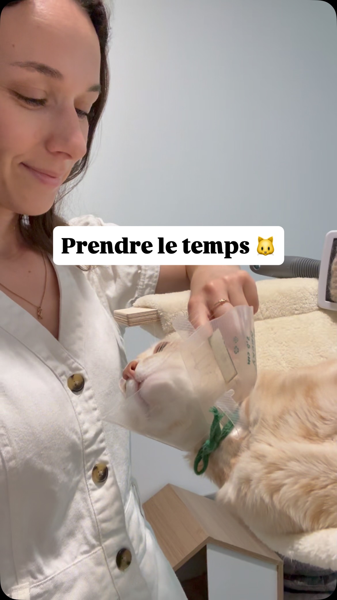 Dans notre monde où tout va vite, mes petits pensionnaires me font prendre le temps 🧘♀️
Le temps de les observer, de m’occuper d’eux, de les rassurer, d’apprendre à connaître leurs habitudes..🩷
D’ailleurs, j’apprends beaucoup en les regardant vivre !
#pensionpourchats #hotelpourchats #cat #chat #passionchat