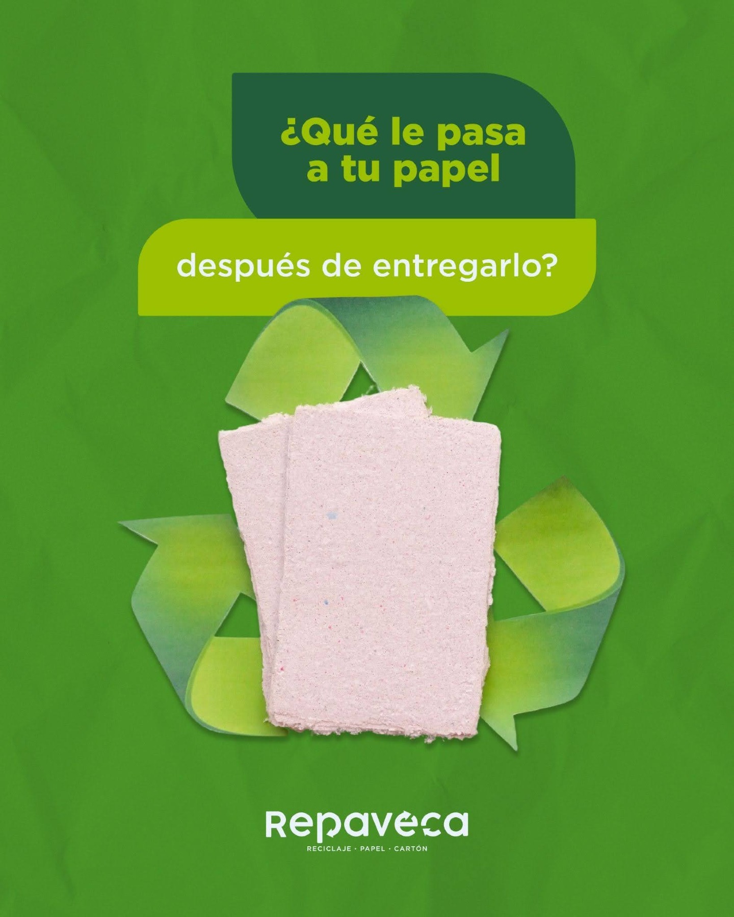 ¿Alguna vez te has preguntado qué sucede después de entregar tu papel y cartón? 📦
En Repaveca cada material pasa por un proceso responsable que permite darle una nueva vida.
✔ Recolectamos el material directamente en tu empresa
✔ Lo clasificamos y separamos correctamente
✔ Lo transformamos en materia prima reutilizable
✔ Generamos un impacto positivo para el ambiente
Reciclar una tonelada de papel puede salvar hasta 17 árboles y reducir el consumo de agua y energía 🌎
Tu empresa también puede ser parte del cambio.
📍 Zona Industrial Palo Verde, calle 2 de La Industria
📲 Contáctanos: Master: 0212-2516010 | WhatsApp: 0414-1211479
🌐 www.repaveca.com.ve/contacto
#Repaveca #Reciclaje #Venezuela #PlantaRecicladora #Ecoamigable #ReciclajeVenezuela #tipsdereciclaje #ReciclajeEnCasa