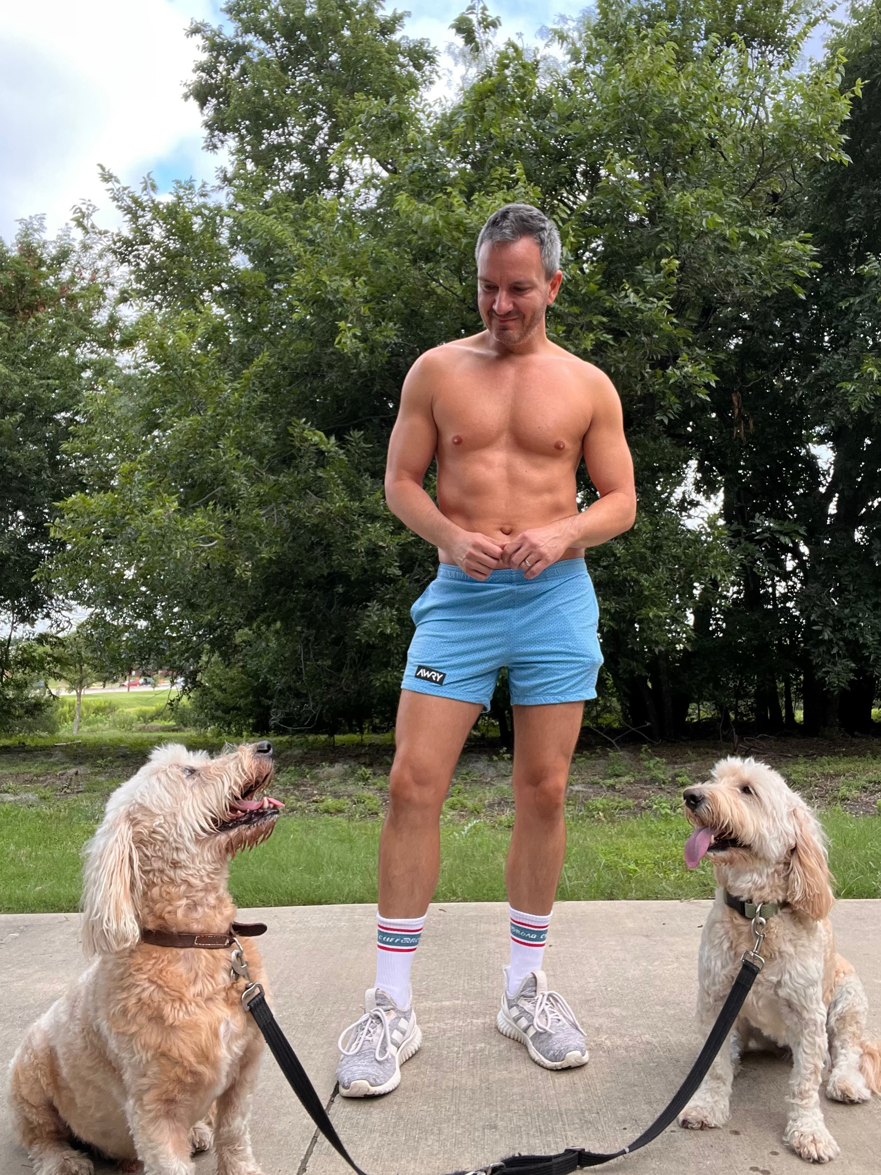 the dog days of summer