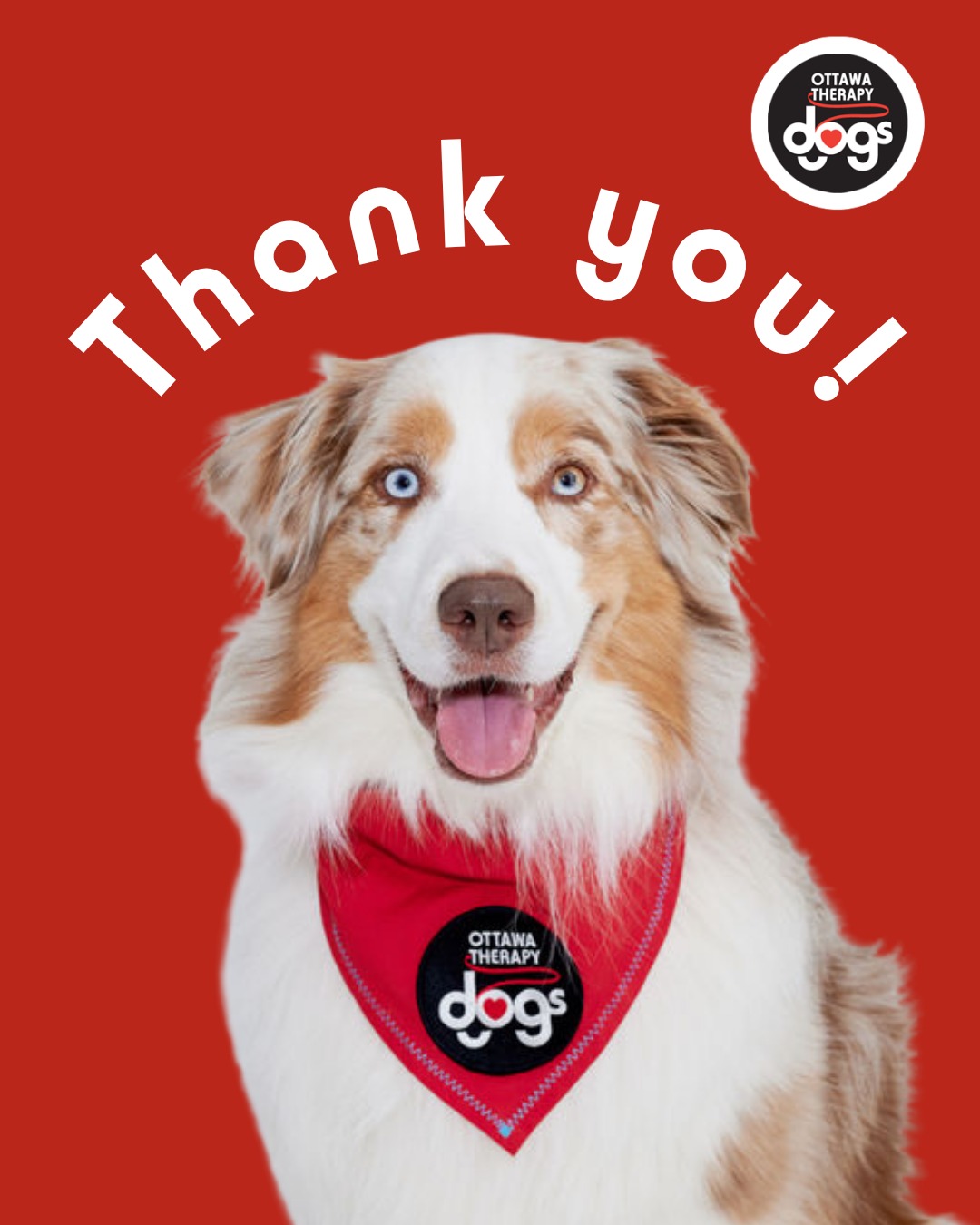 A HUGE thank you to @globalpetottawa, @thebrewtable and @mastersndogswestboro for generously providing door prizes for our Annual General Meeting. Our AGM is a meaningful opportunity to celebrate the collective impacts of our dedicated human and furry volunteers, and the prizes made the evening that much more special. Thank you for your support! 🐾
Swipe to see some of our winners!🎉