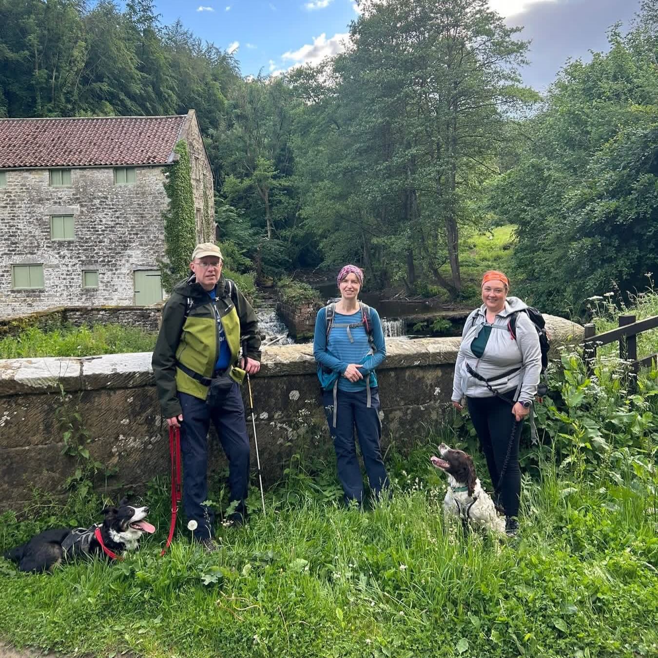 Another glorious Wednesday evening walk, the sun came out and the blue skies. 🥾
📍Nawton and Hold Cauldron - 6 miles and 500ft
Thank you to @outdoors_stu for guiding
Remember to make the most of the lighter nights, come and join us for an evening
https://www.yorkietalkies.co.uk/yto-evening-walks
#getoutside #YTO #guidedwalks #eveningwalks