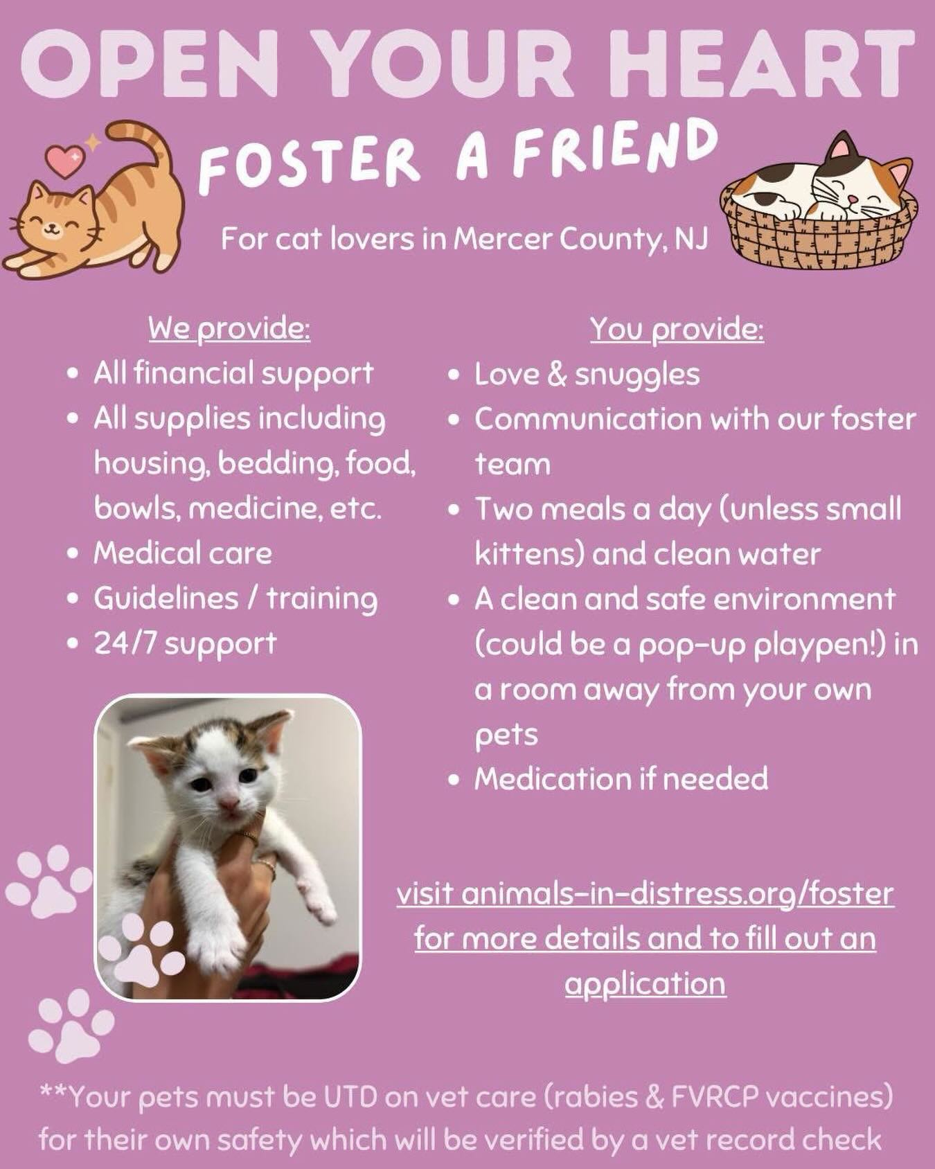 🐾🩷 Kitten season is tough. We get multiple emails every single day asking for help with litters found outside, and from people that for some reason didn’t get their cats fixed and now have a litter of preventable kittens🙄. As much as we want to help, the fact of the matter is we are limited in our foster space. We need loving foster homes to continue saving lives. 🐈⬛🩷 If you are kind enough to consider opening your home to these babies in need, please visit animals-in-distress.org/foster for more information and to fill out an application.
#animalsindistressnj #adoptablecats #cats #mercercountynj #fosterkittens