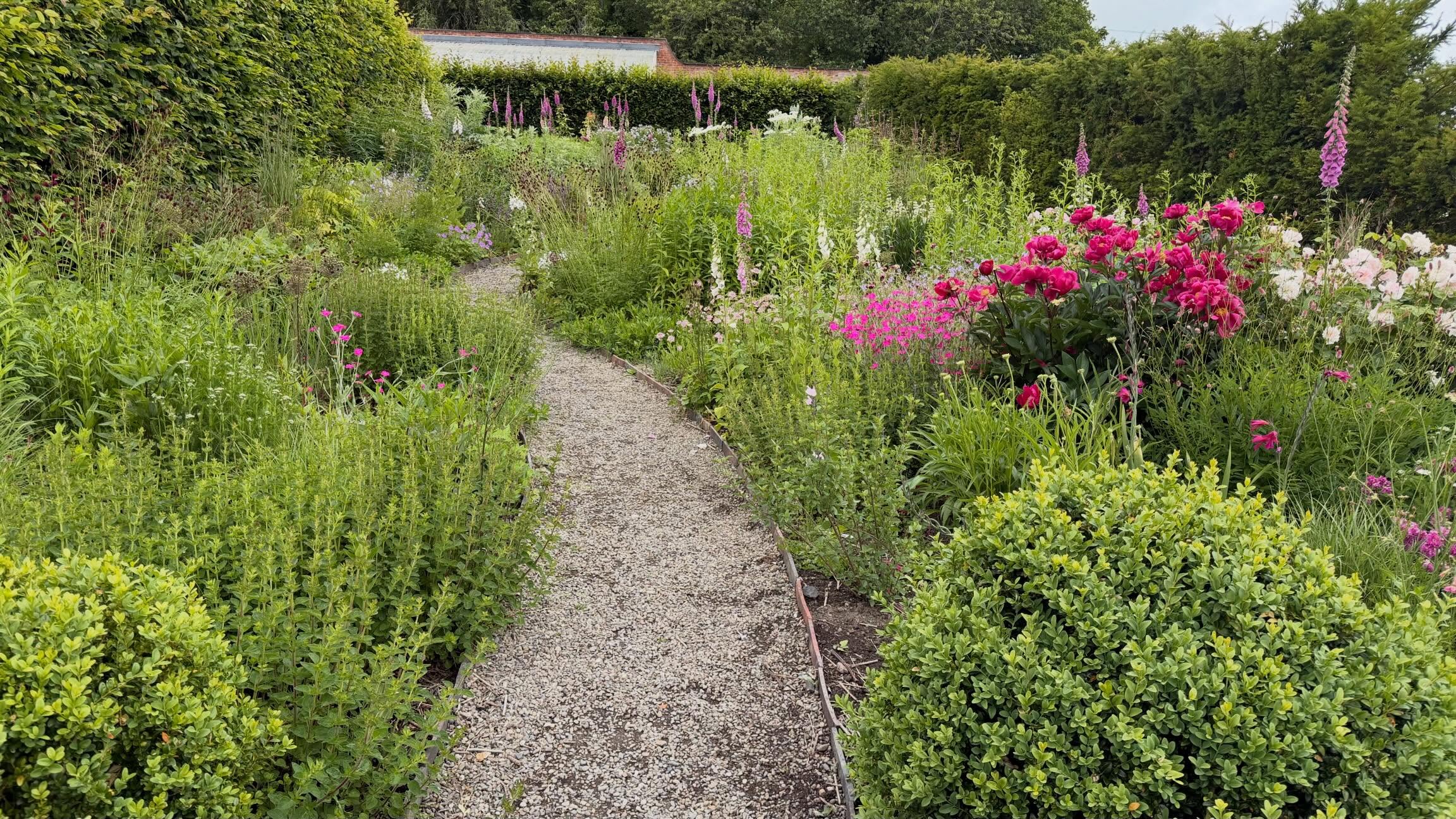 I don’t think I’ve ever seen the walled garden at Wildegoose looking lovelier. I came away with a boot full of beauty and a brain brimming with ideas! #planningagarden #creatingagarden #gardeninspiration💚 #cultivatedandwild #findyourjoy