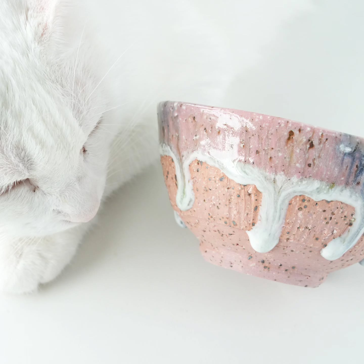 The wonderful @ta.ju.ma took this lovely photo of one if my bowls. Thank you so much 🥰