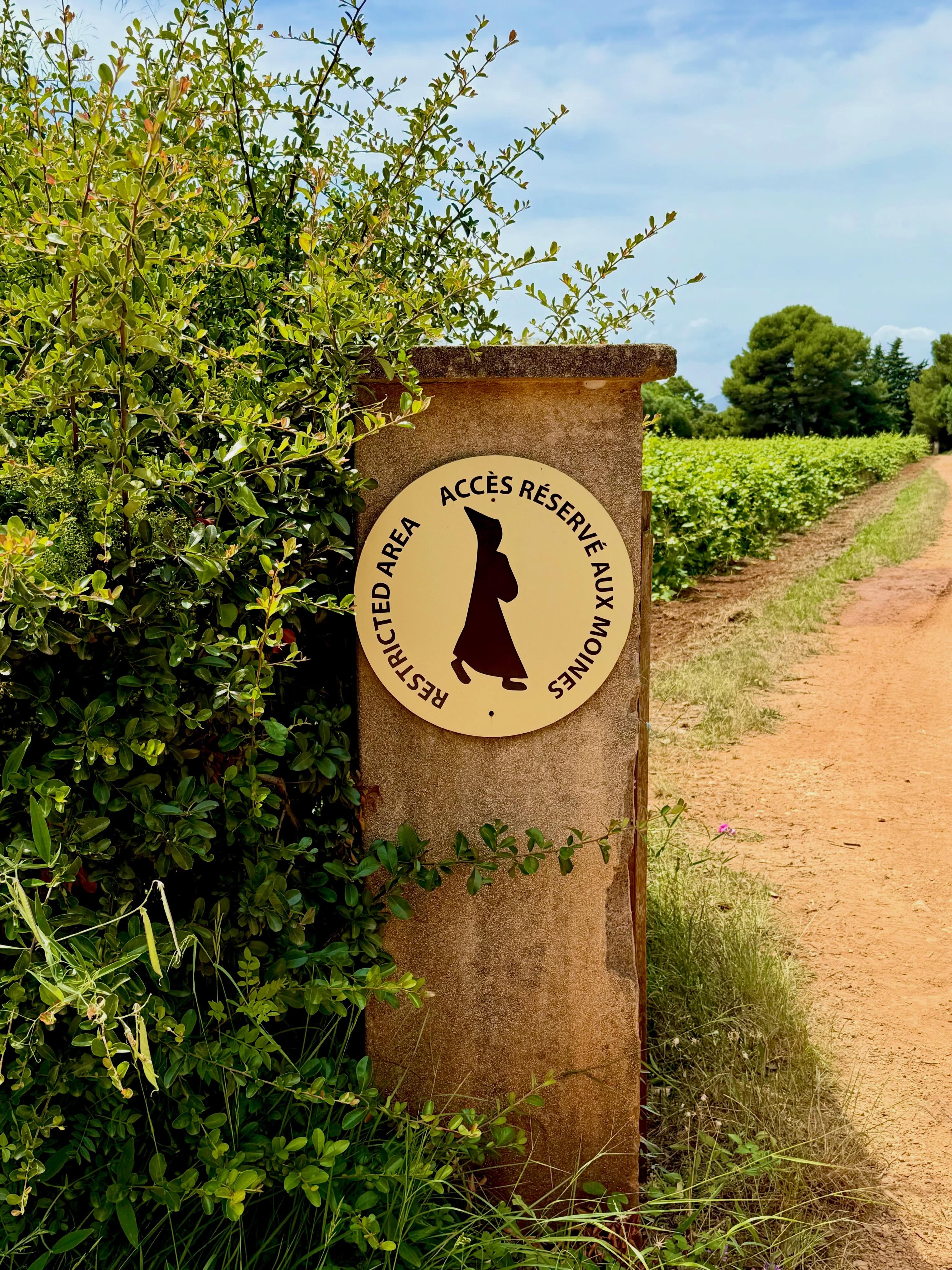 An afternoon with monks who make wine on an island in the south of France #frenchriviera🇫🇷🌴☀️ #cotedazurfrance☀️ #ilesdelérins #travelbloggers #retireandtravel