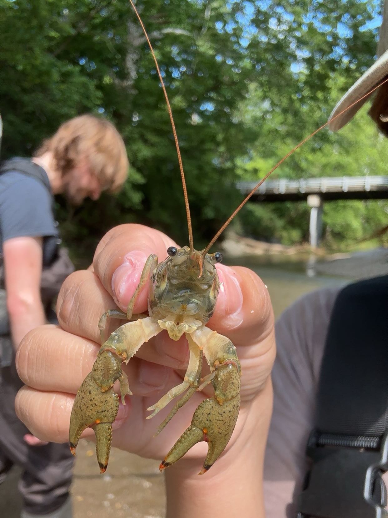 Splish, Splash, we’re having a bash! 💧 Come to our Discover Streams Event, June 27th for a fun and free day of learning about streams, water ecology and activities. This event welcomes all! Families, friends, students and more. You can even join us in the stream for a hands on experience. Make sure to register for this free event using the QR code or the link below. — https://forms.office.com/pages/responsepage.aspx?id=bC4i9cZf60iPA3PbGCA7Y6NTwdXfvFtErozjnKTHmE9UOU9WNks0WDZMTUZTWjJJNzVQUlMxQkJXWC4u&route=shorturl