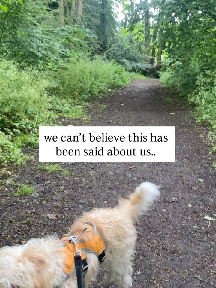 we canβt believe this has been said about usβ¦
and it makes our heart so full π
β¨ Sheffield edition β¨
P.S if you can spare a moment to write a review for a small business, please do - it makes the world of difference!
#sheffield #sheffieldbusiness #smallbusinesssupportingsmallbusiness