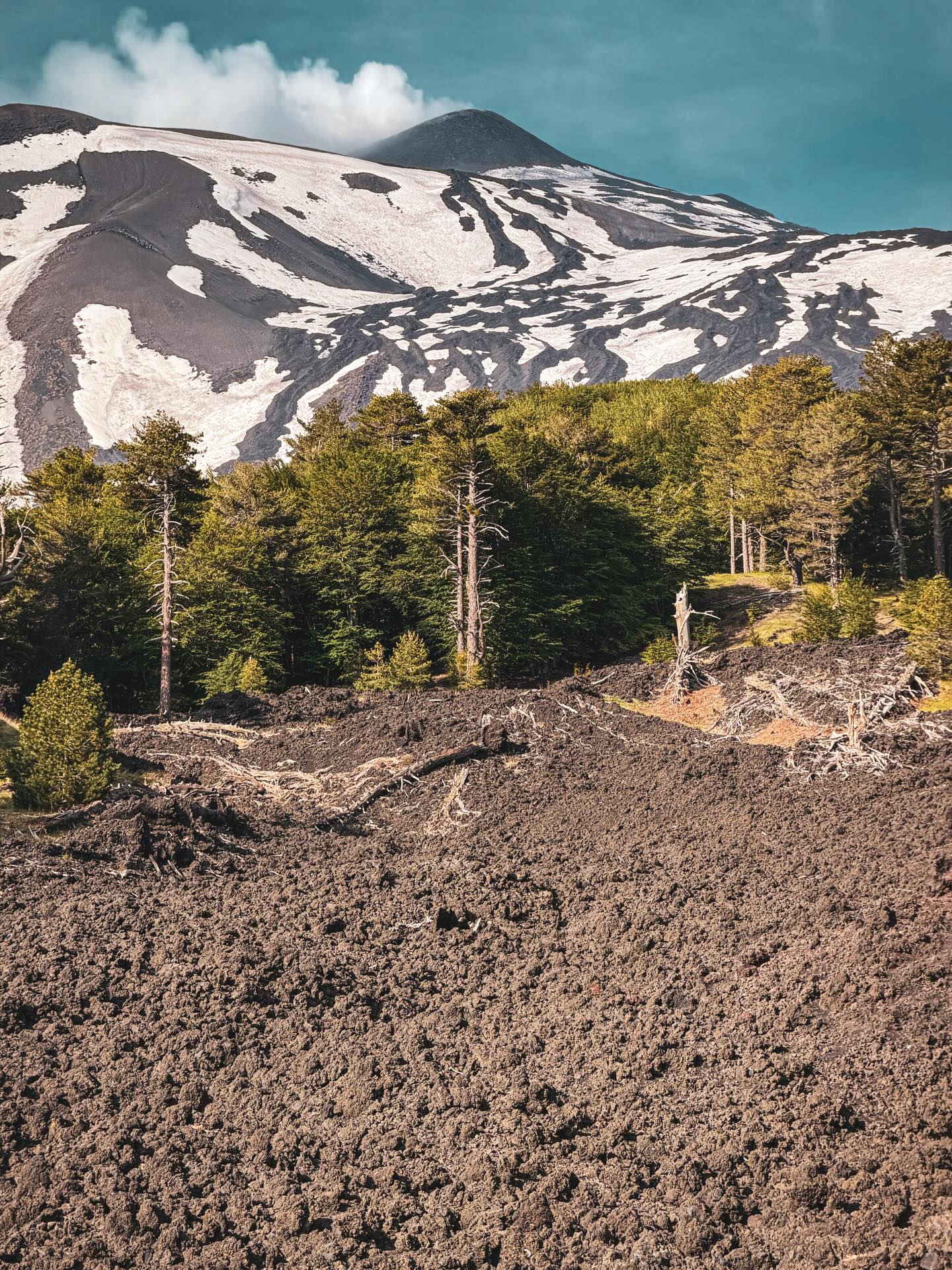 The final adventure of our trip - the one that brought us to Sicily - was a guided hike up Mount Etna. At the base camp, it was gearing up to be another beautiful day. From there, we took a van up to about 9500’ and then started hiking. We gained approximately 1500’ in 1.75 miles (the north rim of Mount Etna is 11,155’).
It was a steep hike at a relatively quick pace. Because of the lava rock and ash, it’s not a hard packed trail, so you had to pay close attention to the footing. The wind was constant, with gusts that tried to knock you over. And about 2/3 of the way the clouds/steam/ash kept swirling and obstructing the view of the volcano rim. Eventually our guide decided that the conditions were too dangerous to finish our hike to the north rim so we had to turn around, knowing that we were so very close.
The next day, as we were flying out of Catania, I had a couple of perfect views of that volcano…