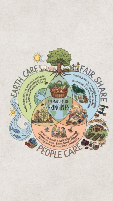 We are dedicated to fostering community cohesion, local resilience, and a greener future, with a simple yet powerful mission, rooted in three core principles of permaculture.
Permaculture is a nature-inspired design philosophy that mimics flourishing, self-sustaining ecosystems to create resilient environments. Originally meaning "permanent agriculture," it has evolved into a holistic approach for sustainable living, regenerative farming, and community building that works with nature rather than against it.
The three principles:
🌏Earth Care:
Nurturing resilient ecosystems & soil health with a sustainable mindset for all living systems to flourish & thrive.
🧡People Care:
Fostering health & wellbeing through communal, social & emotional fulfillment to empower a thriving local community.
🌿Fair Share:
Sharing produce, knowledge & materials with local food banks, schools, businesses & community groups.
.
#permacultureprinciples #spacesforpeopleandnature
#hobbscommunitygarden #communityspaces