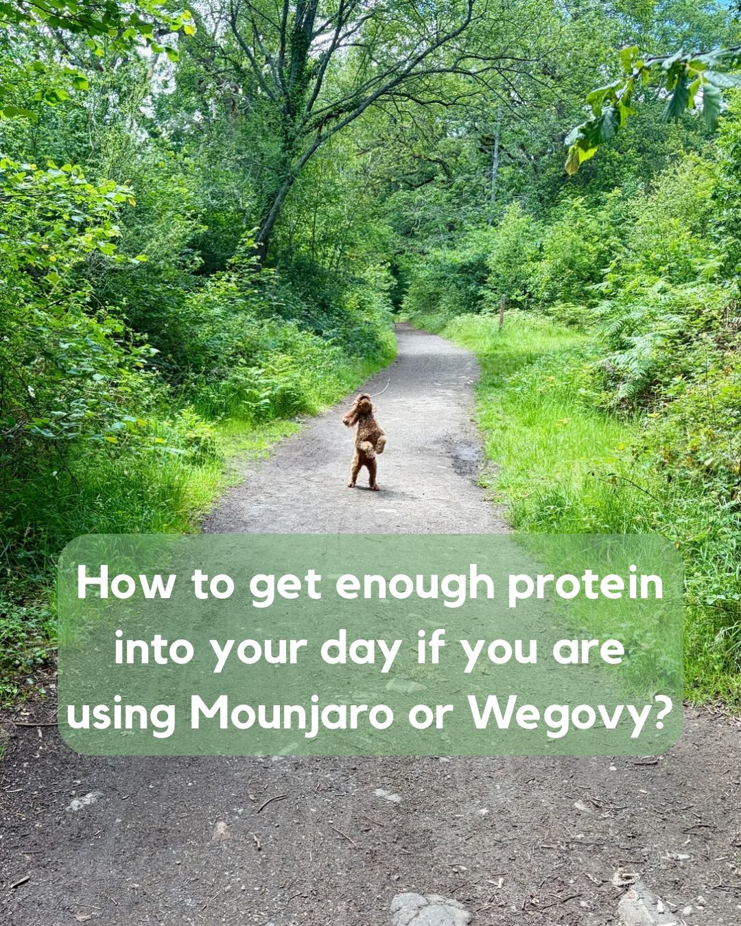 💛 How to get protein into your day if you are using Mounjaro or Wegovy…?
If you are perimenopausal, this is especially important for your bone and muscle health; as well as satiety and blood sugar levels.
Swipe across to find out more about how you can get enough protein into your diet.
💛 I love a good snack…if you would like a list of some great snack suggestions, DM me the word SNACKS! and I will send it to you.
#mounjaro #wegovy #mounjarodiet #weogovydiet