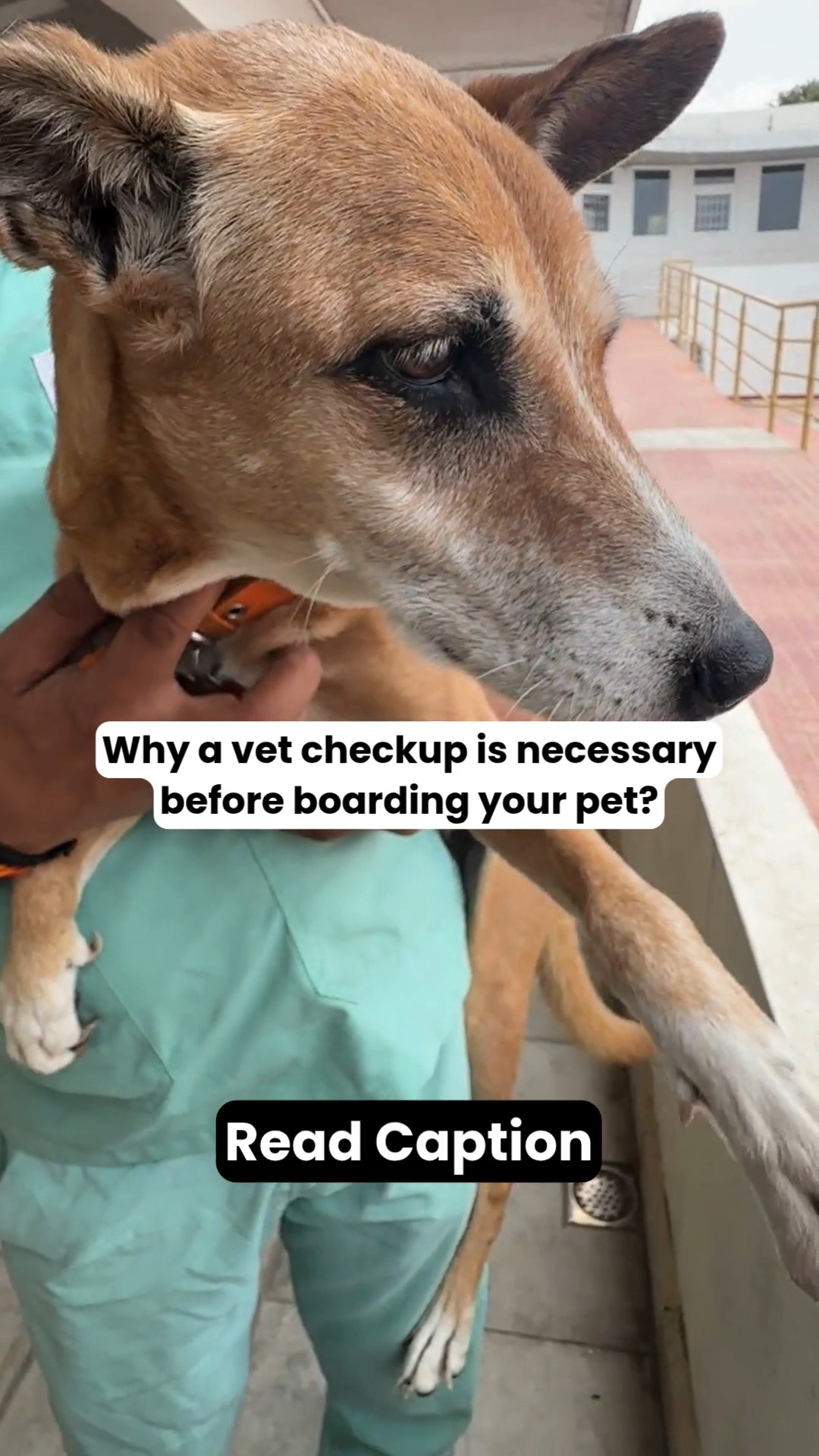 "My pet looks perfectly healthy for boarding." Maybe, maybe not and that's exactly why a pre-boarding vet check matters.
Many health issues don't become obvious until they're advanced. A pet can be eating, playing, and acting normally while still carrying an infection, parasites, or an underlying medical condition.
Before boarding, a veterinary check-up helps ensure:
✅ Vaccinations are up to date
✅ Tick & flea prevention is current
✅ No signs of contagious illness
✅ Existing medical conditions are identified
✅ Medications and special care requirements are documented
✅ Your pet is fit and comfortable for boarding
💡 Here's the reality: A boarding facility isn't just responsible for YOUR pet's health: it has to protect every furry guest staying there.
That's why good boarding starts with good preventive healthcare.
A simple health check before boarding can help:
🐾 Prevent emergencies
🐾 Reduce stress
🐾 Avoid disease transmission
🐾 Ensure your pet gets the right care during their stay
Because the goal isn't just boarding your pet. It's making sure they have a safe, healthy, tail-wagging holiday while you're away. ❤️
📌 Save this before your next trip.
📤 Share this with a pet parent planning to board their furry friend.
#PetBoarding #DogBoarding #CatBoarding #PetHealth #PreventiveCare #VeterinaryCare #PetParentsIndia #DogCareIndia #CatCareIndia #PetWellness #ResponsiblePetParent #TravelWithPets #CessnaPetRetreat #CessnaLifeline #HealthyPetsHappyLives