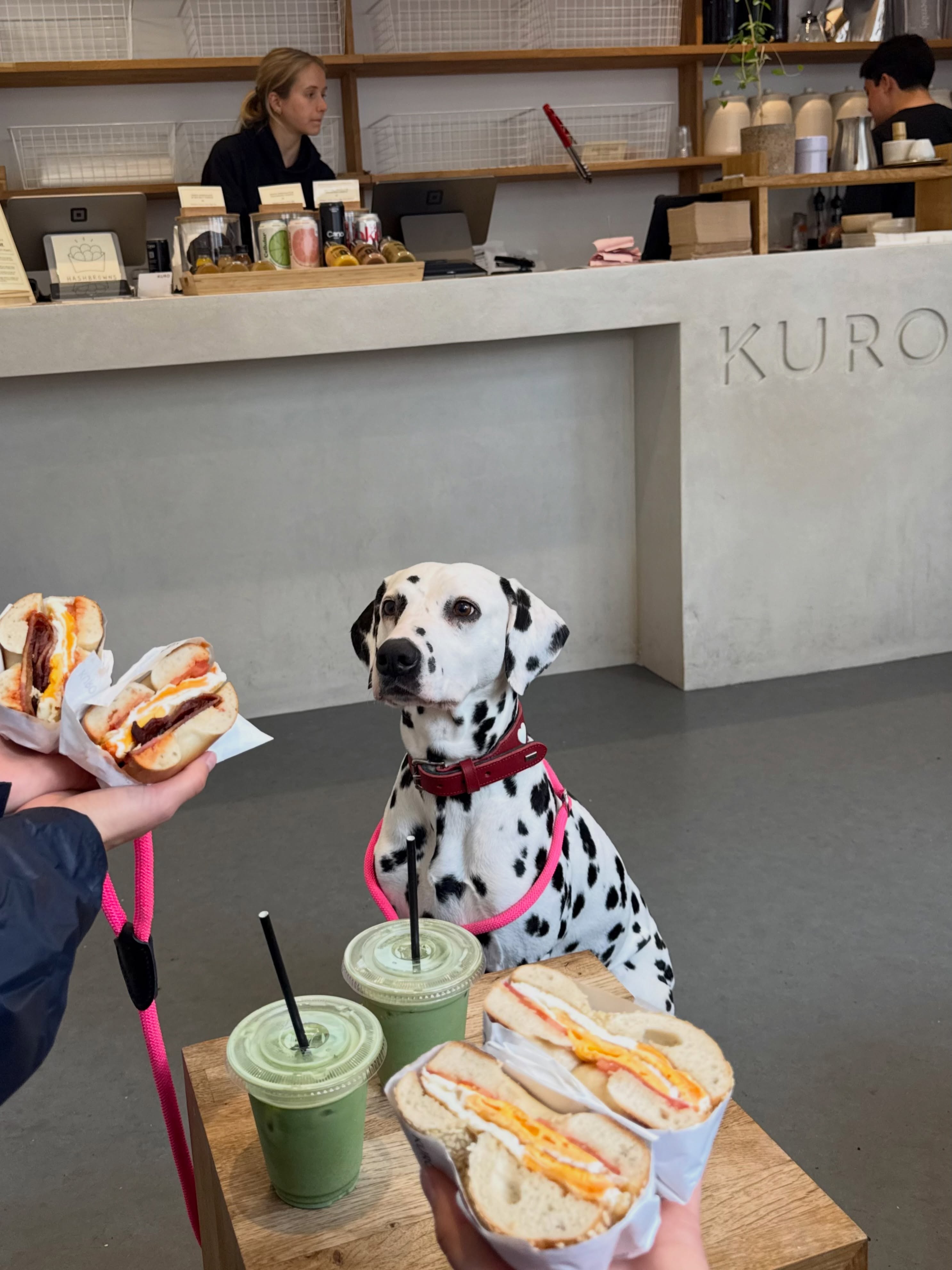 Mae’s POV: “One bagel and a matcha latte please!”😁