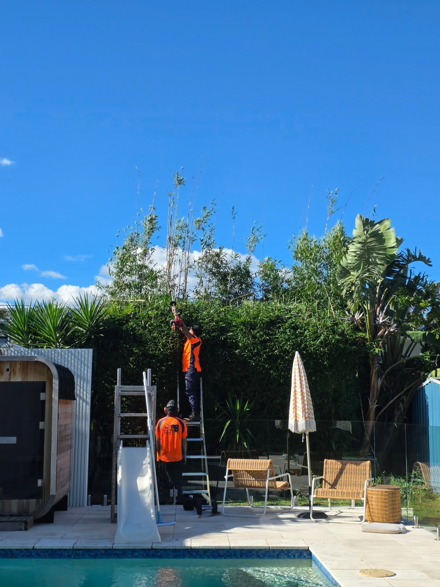 Bamboo: beautiful to look at, not so fun to maintain 😅✂️ Especially when it's over 3 metres high and starting to make a run to the nearest cloud 😂
#bamboo #fyp #Landscaping #BeforeAndAfter #australia