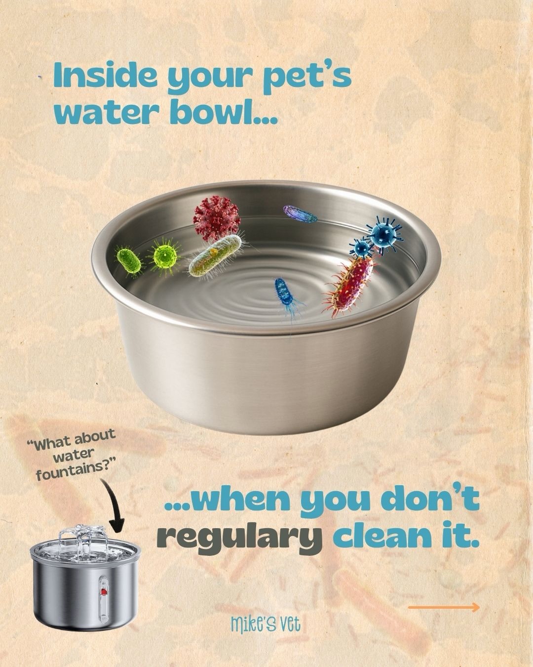 That slimy layer in your pet’s water bowl or fountain could be biofilm - a buildup of bacteria, saliva, and debris that forms when water dishes aren’t cleaned regularly. 🤢
A clean bowl is as important for your pet as fresh water! 💦
#vettips #vetmed #catlife #doglife #petloversuae