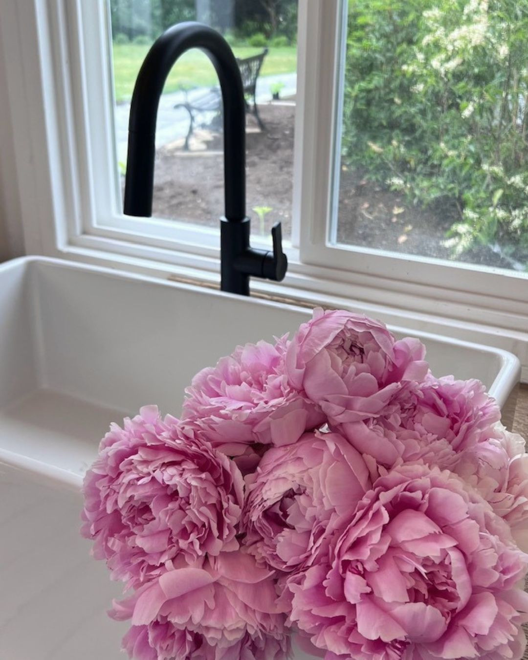 A farmhouse sink, a garden view, and homegrown peonies.
One of the first things I envisioned for this space was a place where our flowers from the garden could be gathered, processed, and enjoyed.
This little corner already feels like home.
More studio sneak peeks to come...
🤍 Maria
.
.
#NicheBoutiqueFlorals
#MyFrenchCountryFlowerStudio
#MapleRidgeBC
#PeonySeason
#HomegrownPeonies
#FrenchCountryStyle
#FlowerStudio
#FloralDesigner
#VintageInspired
#TheArtOfSlowingDown