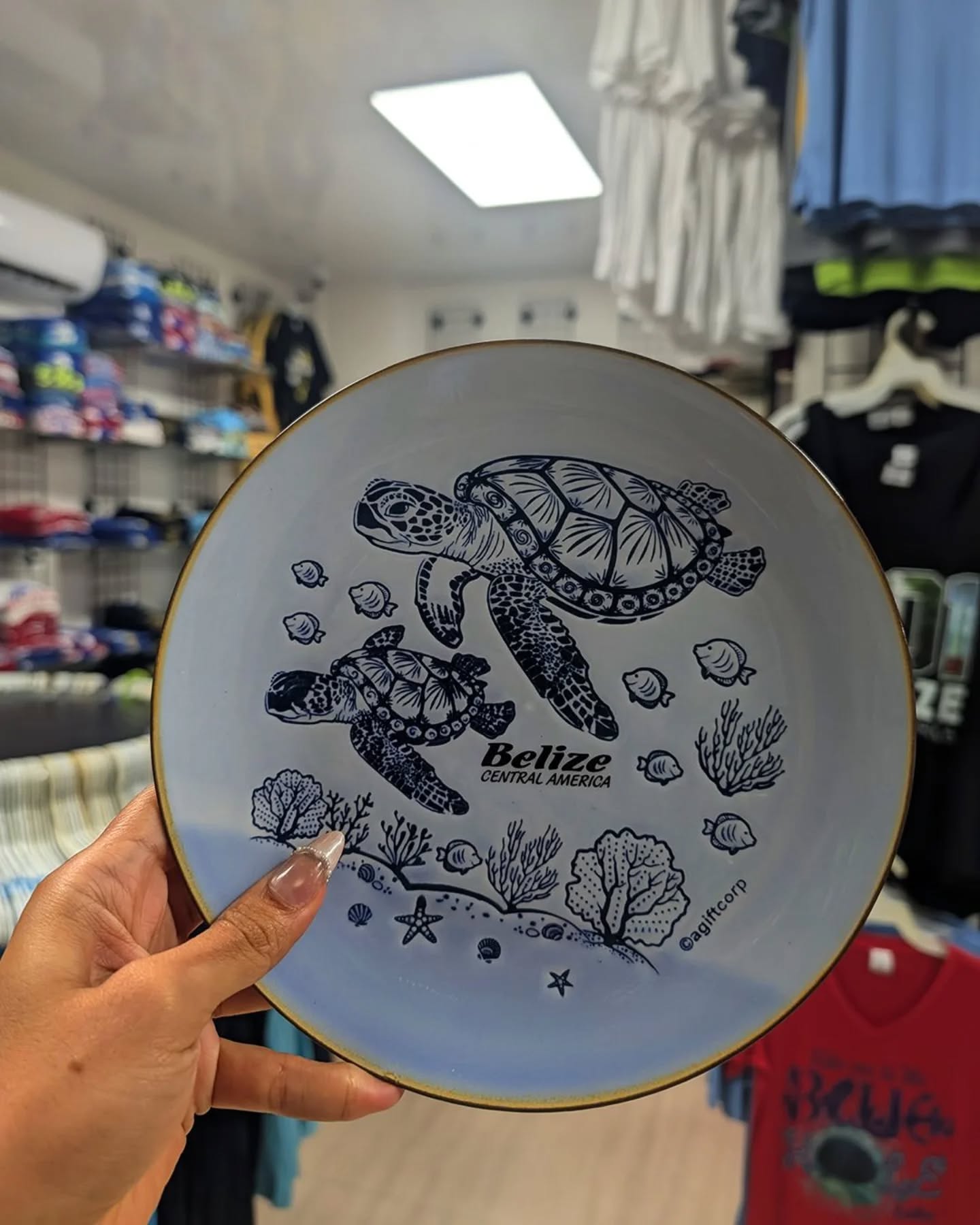 Decorate your home with ocean vibes & sea turtles! ๐ข
Check out our other cute displays
Location
๐ 1215 Blue Marlin Ave
๐ Old Belize
