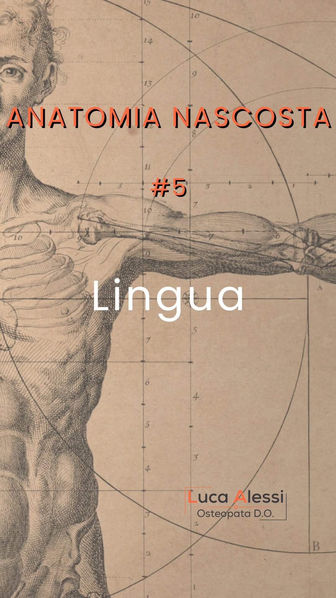 ANATOMIA NASCOSTA #5
La lingua è una delle strutture più attive del corpo umano.
Partecipa alla respirazione, alla fonazione, alla masticazione e alla deglutizione.
Durante la giornata viene attivata migliaia di volte senza che ce ne accorgiamo.
Ma la sua funzione va oltre il semplice movimento.
In condizioni fisiologiche, la lingua contribuisce alla stabilità della cavità orale, alla gestione delle pressioni durante la deglutizione e alla coordinazione con mandibola, ioide e muscolatura cervicale.
Per questo oggi viene studiata sempre di più non solo in odontoiatria e logopedia, ma anche nell’ambito del controllo motorio e delle funzioni cranio-cervicali.
Una struttura piccola.
Una funzione enorme.
📍Prati – Piazza Cola di Rienzo
#AnatomiaNascosta