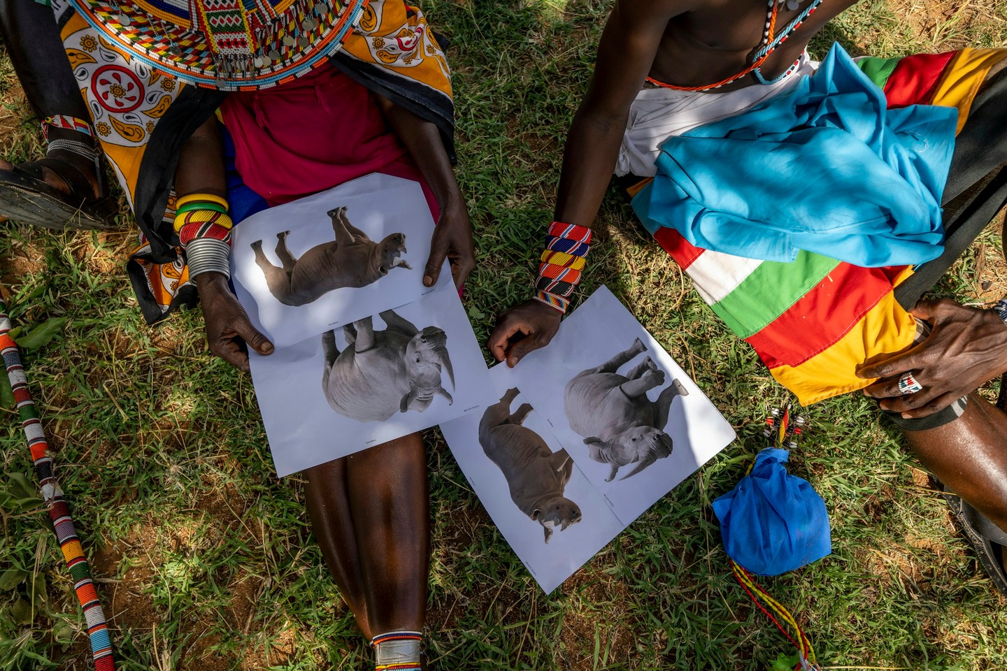 The best conservation tool we have isn't a camera trap or a tracking collar.
It's this.
When the communities living alongside the conservancy understand the animals on their doorstep - know their names, their movements, their stories - everything changes. Neighbours become the most effective early-warning system we have. Eyes and ears across a landscape no ranger team could ever fully cover alone.
The relationship between Loisaba and the communities surrounding us isn't a footnote to our conservation work. It is the conservation work.
Because when people see wildlife as something worth protecting - rather than something to fear or resent - that's when real, lasting change happens.
Photo © Ami Vitale | Courtesy The Nature Conservancy
#CommunityConservation #Laikipia #BlackRhino #PeopleAndWildlife #KenyaConservation #ConservationCommunity #LandConnectedLifeProtected