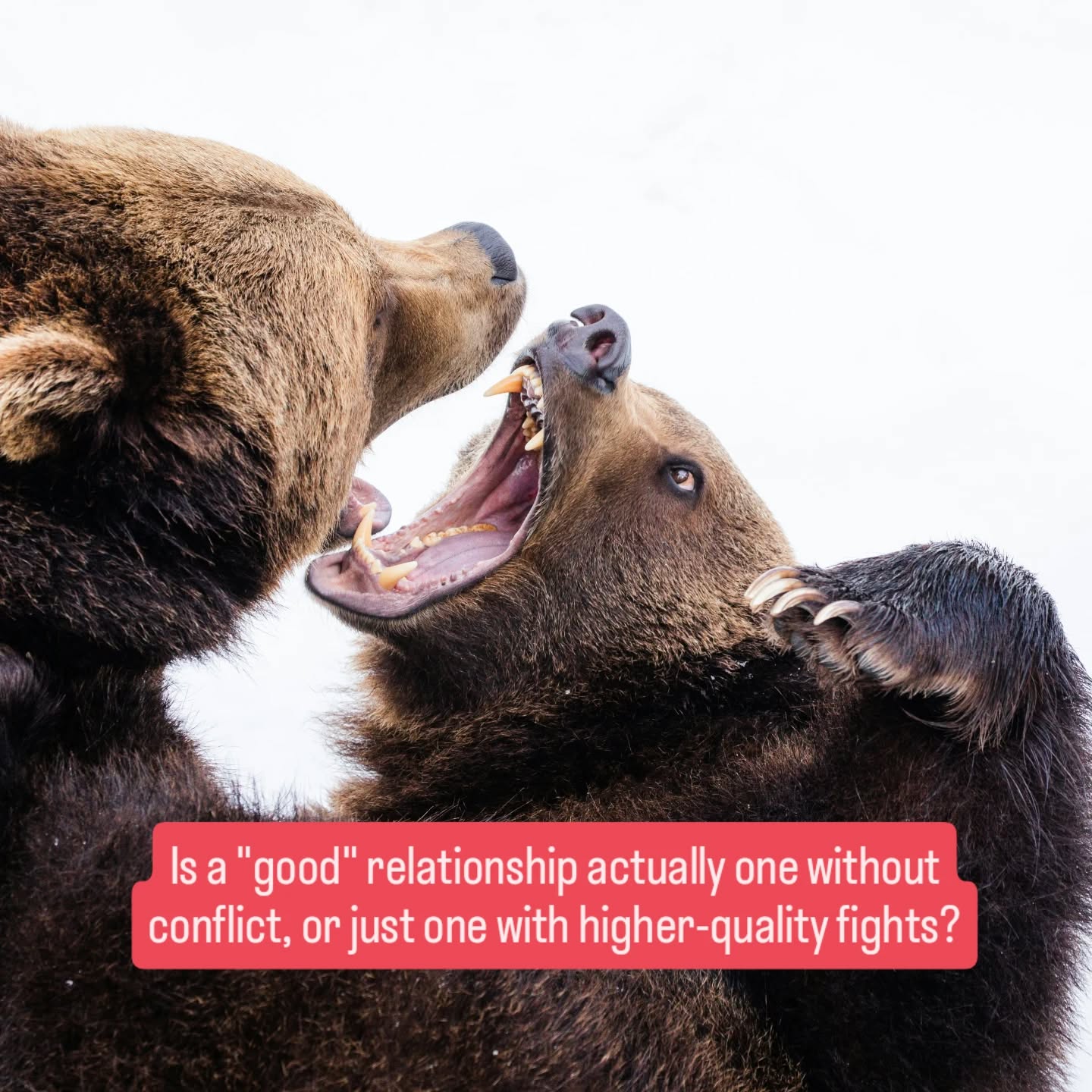 Your relationship doesn't need fewer arguments. It needs better ones.
This Thursday, June 11, world-class competitive debater Monica Forman (MA) takes the stage at Think & Drink to introduce a sharper framework for handling relationship conflict.
When: Thursday, June 11 | 7:30 PM – 9:00 PM
Where: The Book Nook, Singel 82, Amsterdam
Tickets: Available via the link in our bio (Standard, Student, and Duo Pack options)
Conventional wisdom says "communication is key," but standard therapy approaches rarely stop a predictable spiral. This talk completely sidesteps basic psychology to offer a strategic, high-stakes toolkit built on structured listening, reasoning under pressure, and tactical de-escalation.
Stop trying to achieve a fake state of constant agreement. Grab a drink, bring your favorite person to disagree with, and learn how to run a high-quality argument.
Tip: Booking for two? Grab a Duo Pack directly at checkout to save €4 on your entries.