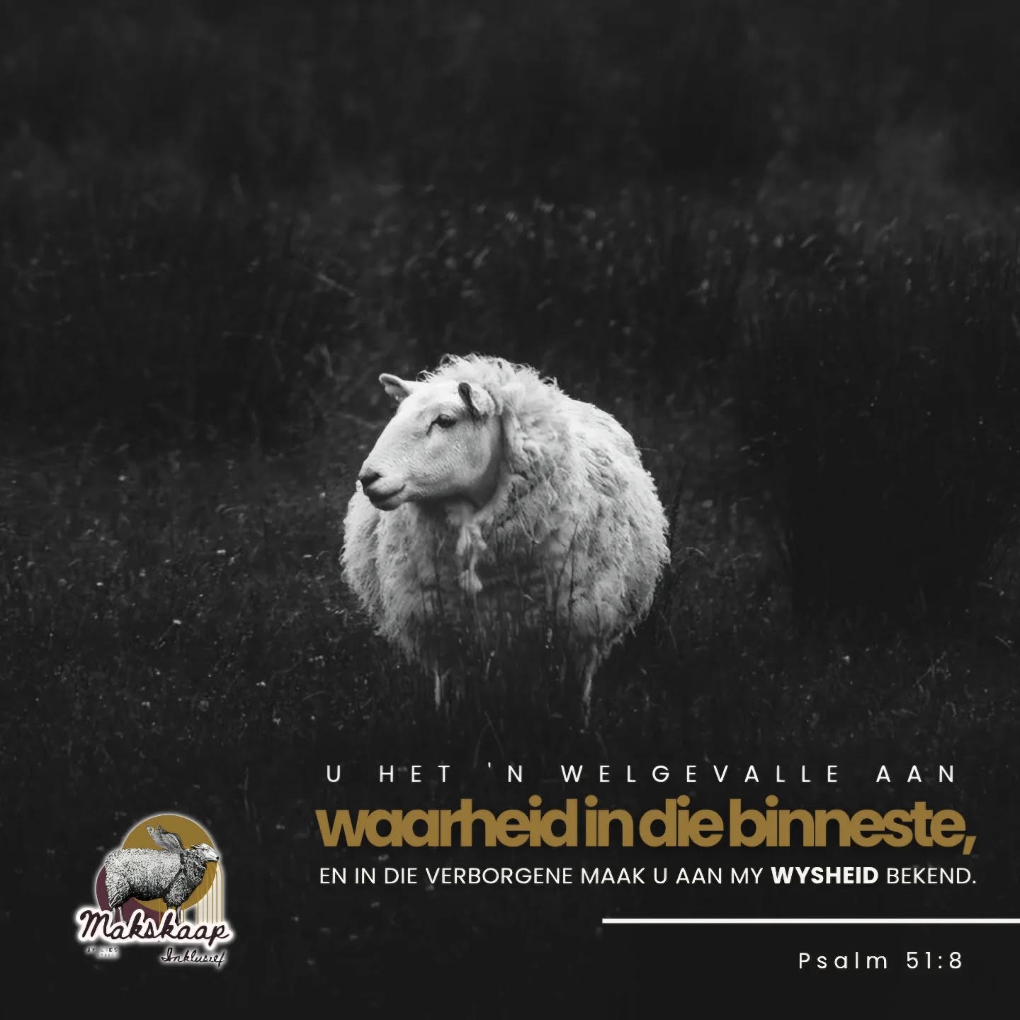 'n Boetelied roep Psalm 51 dit -
Kyk, U HET 'N WELGEVALLE AAN WAARHEID IN DIE BINNESTE,
en in die verborgene maak U aan my WYSHEID bekend.
ONTSONDIG MY met hisop,
dat ek kan REIN wees;
WAS MY,
dat ek witter kan wees as sneeu.
SKEP VIR MY 'N REIN HART, o God,
en GEE OPNUUT IN DIE BINNESTE VAN MY 'N VASTE GEES.
Gee my weer die VREUGDE van u heil,
en ondersteun my deur 'N GEWILLIGE GEES.
Psalm 51 deels