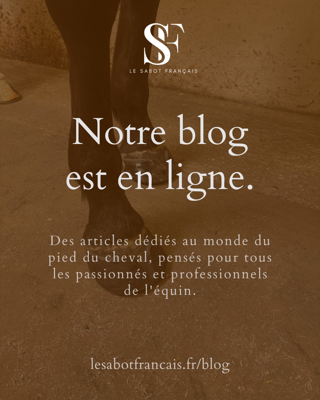 Des articles dédiés au monde du pied du cheval, pensés pour tous les passionnés et professionnels de l'équin .
Retrouvez nos premiers sujets et venez partager vos retours 👇
🔗 lesabotfrancais.fr/blog
Vous avez une étude, un retour d'expérience ou un sujet qui vous tient à cœur ?
Écrivez-nous en DM ou en commentaire — on adore collaborer avec les pros du terrain. 💪