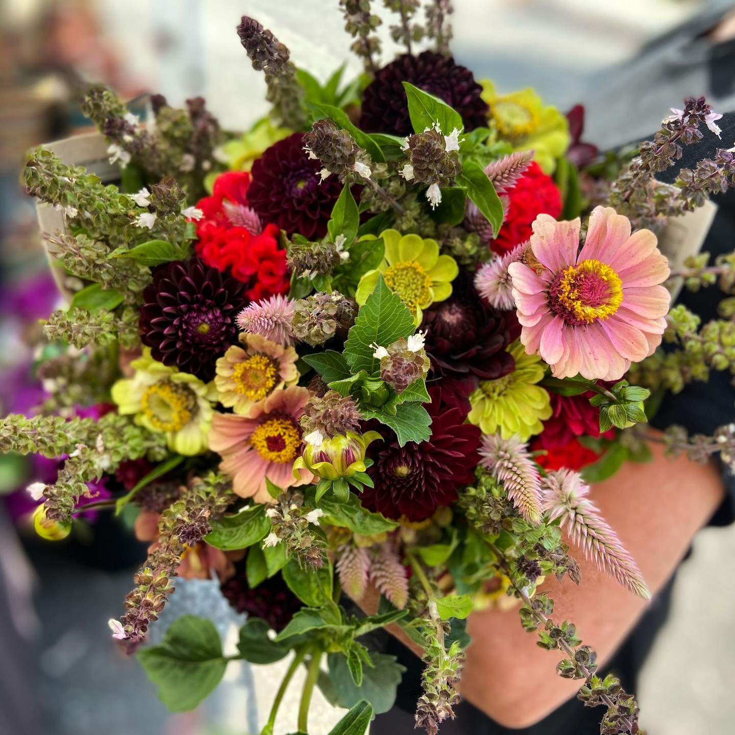 This is the bouquet you'll take home Friday night. 🌿
We're teaching The Art of the Field Workshop at @erikamarieceramics in Berryville, VA this Friday, June 12 from 6 to 7PM. You'll get your hands into a full palette of our farm-fresh blooms and build something as lush and wild as this.
Jess will walk you through balancing color, texture, and the natural movement that makes a farm bouquet feel unlike anything from a shop. No experience needed, just come ready to create something you love.
All materials included. Link in bio to grab your spot!
#berryvilleva #clarkecounty #shenandoahvalley #northernvirginia #visitvirginia #virginiaisforlovers #blueridgemountains #flowerworkshop #floralworkshop #localflowers #farmflowers #shenandoahvalleyva